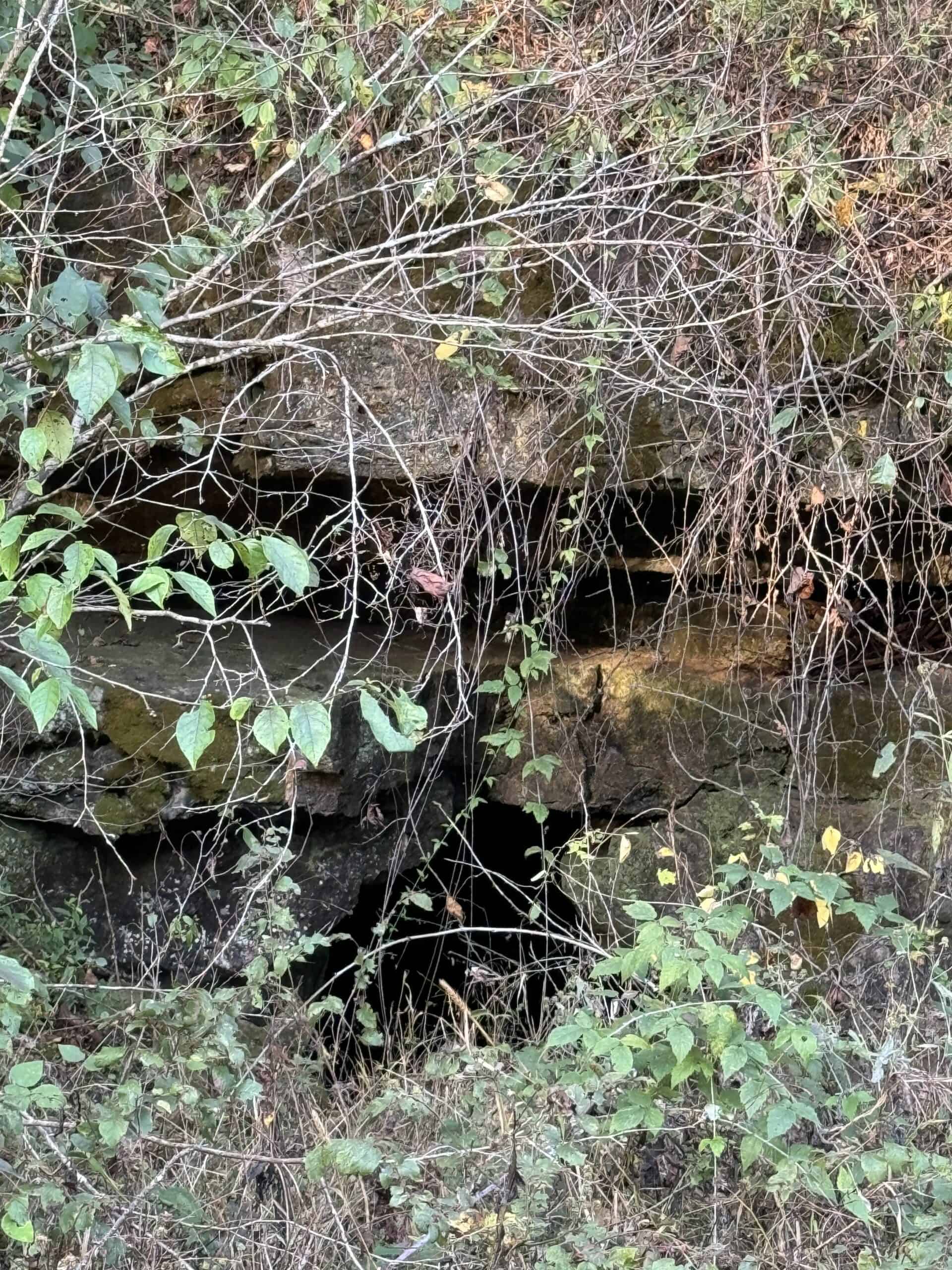 Cattle Farm with Hunting Opportunities in Dixon, MO