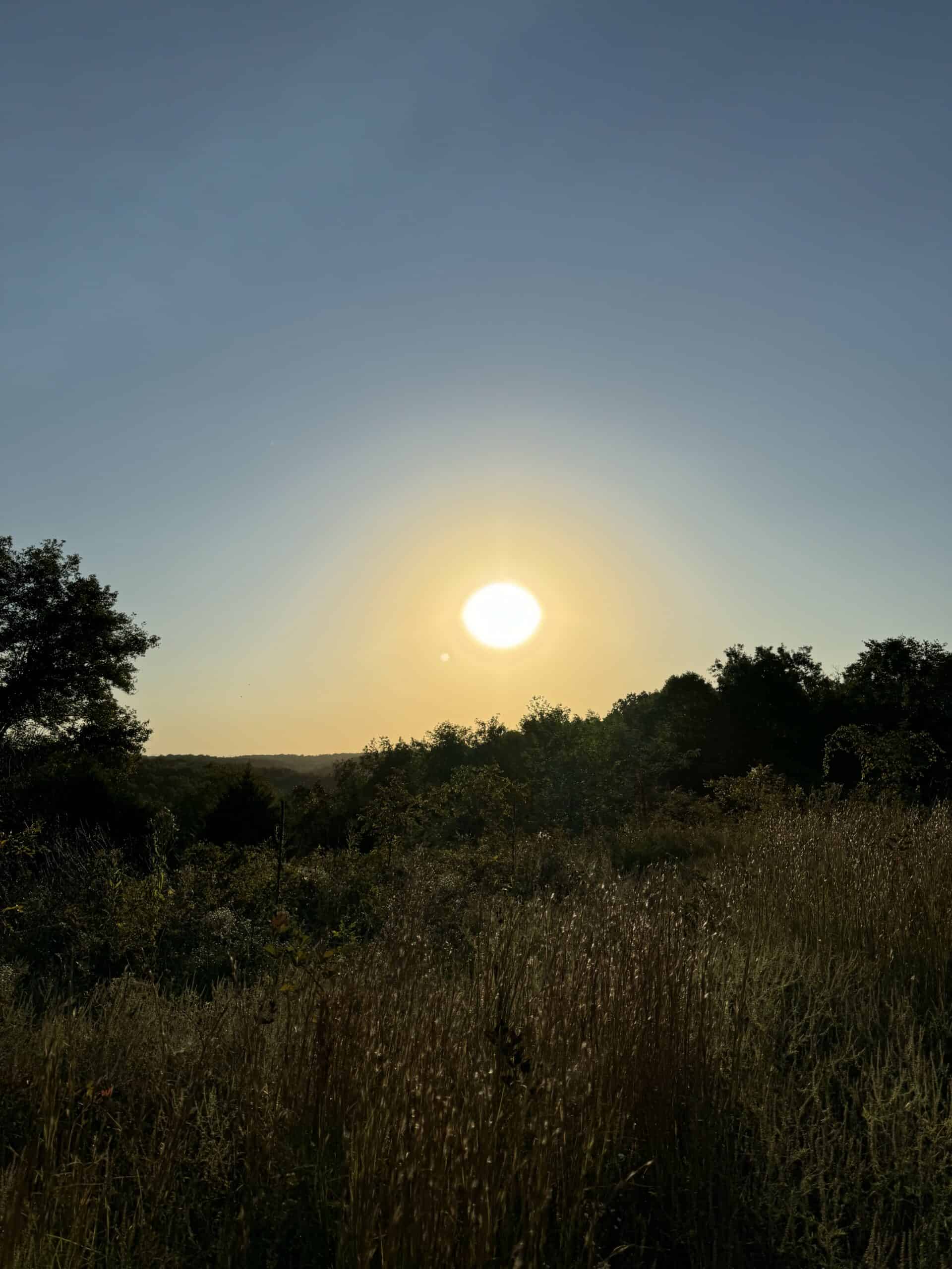 Cattle Farm with Hunting Opportunities in Dixon, MO