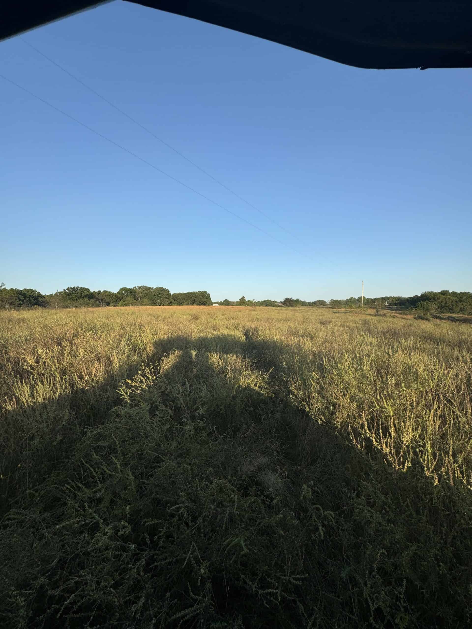 Cattle Farm with Hunting Opportunities in Dixon, MO