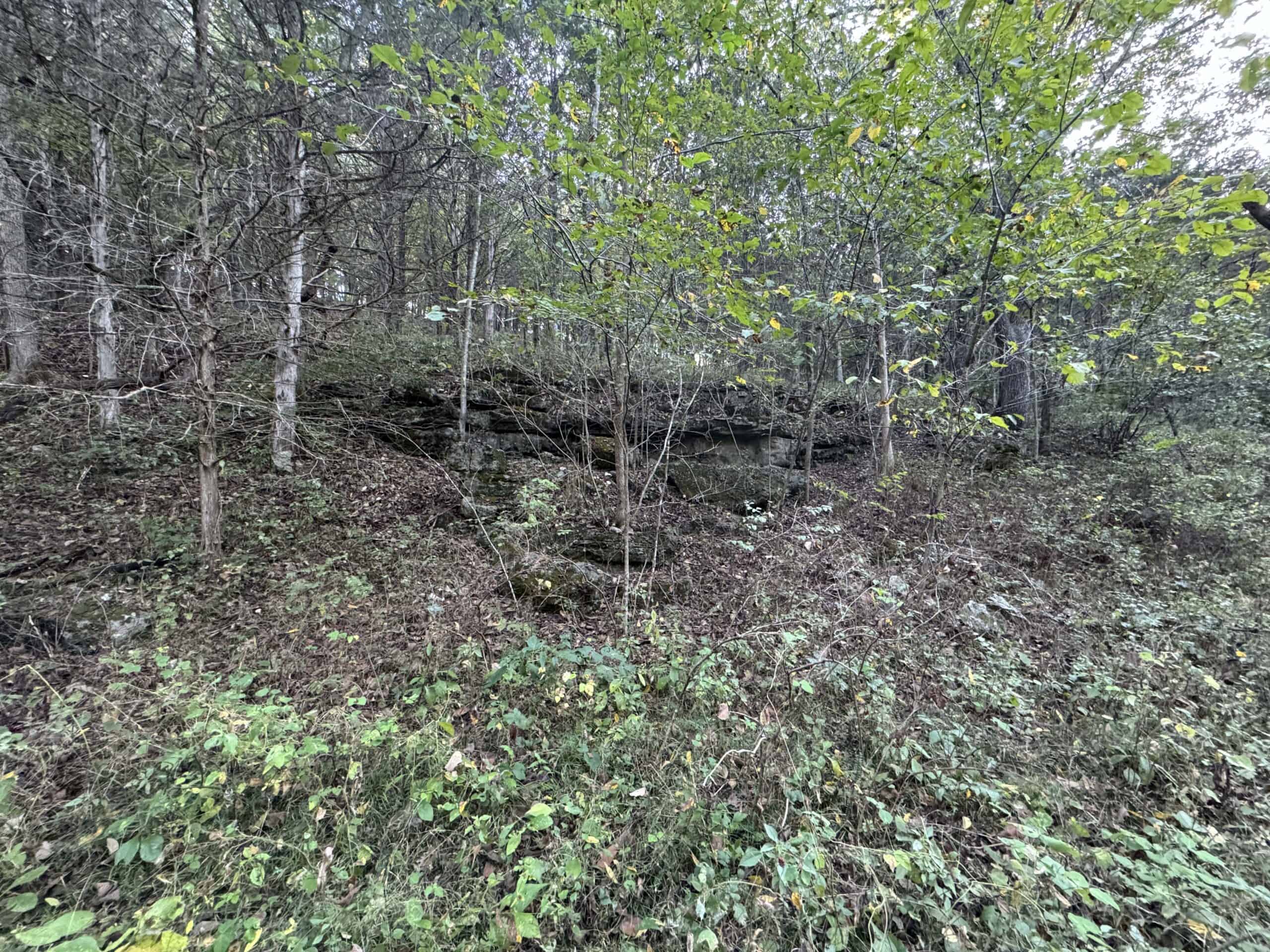 Cattle Farm with Hunting Opportunities in Dixon, MO