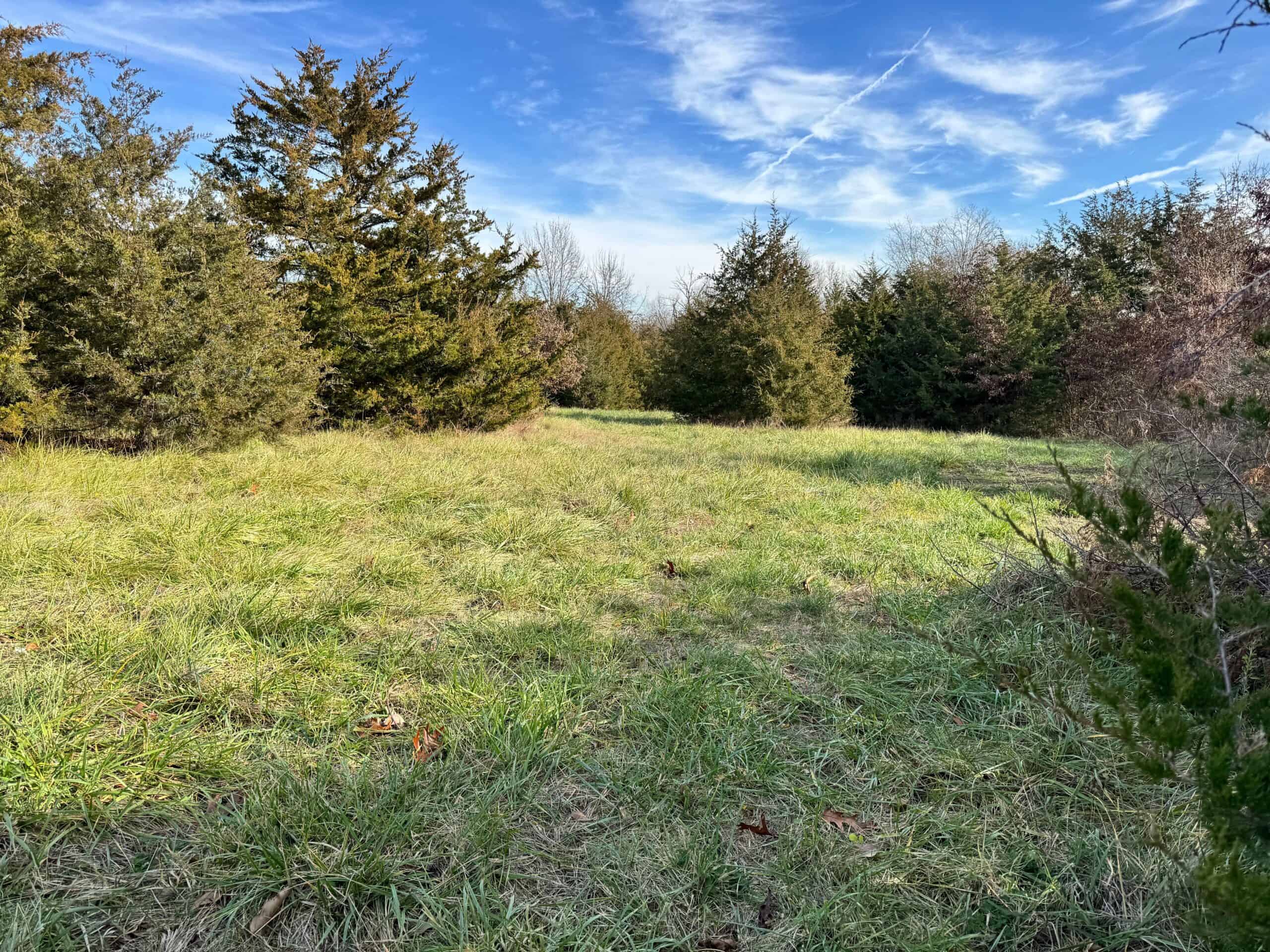 40 acres Bentonsport, IA FOR SALE!