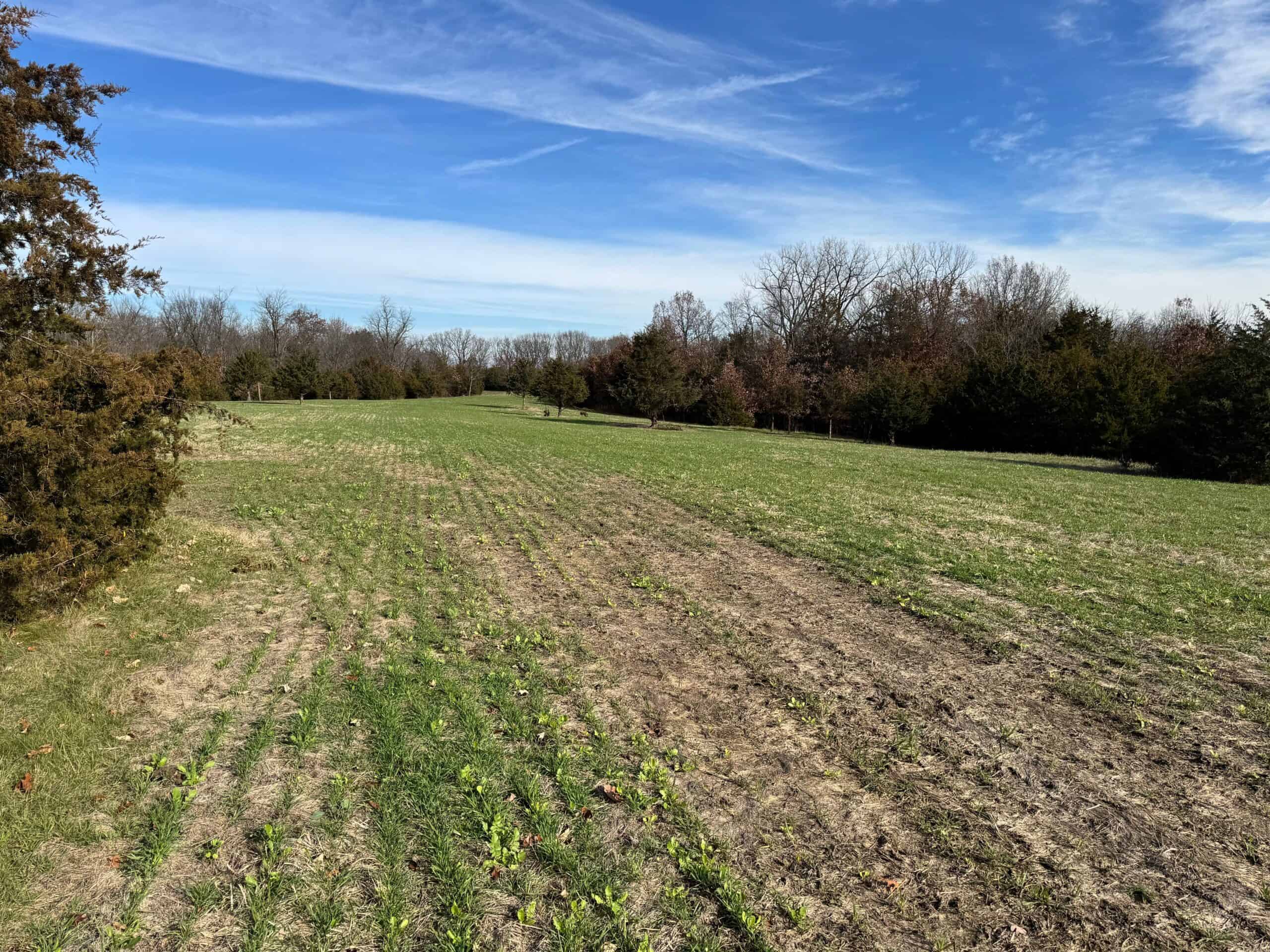 40 acres Bentonsport, IA FOR SALE!