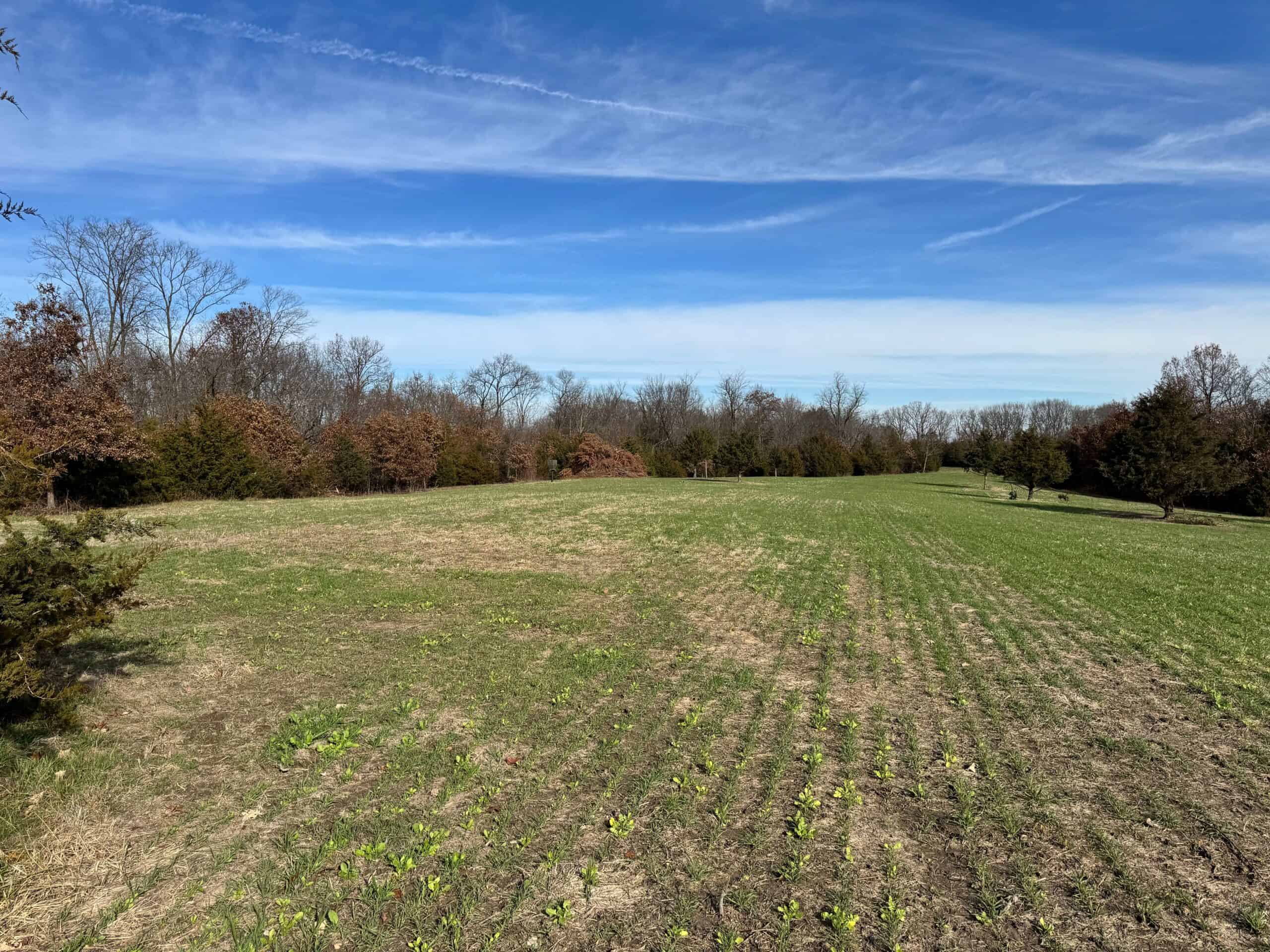 40 acres Bentonsport, IA FOR SALE!