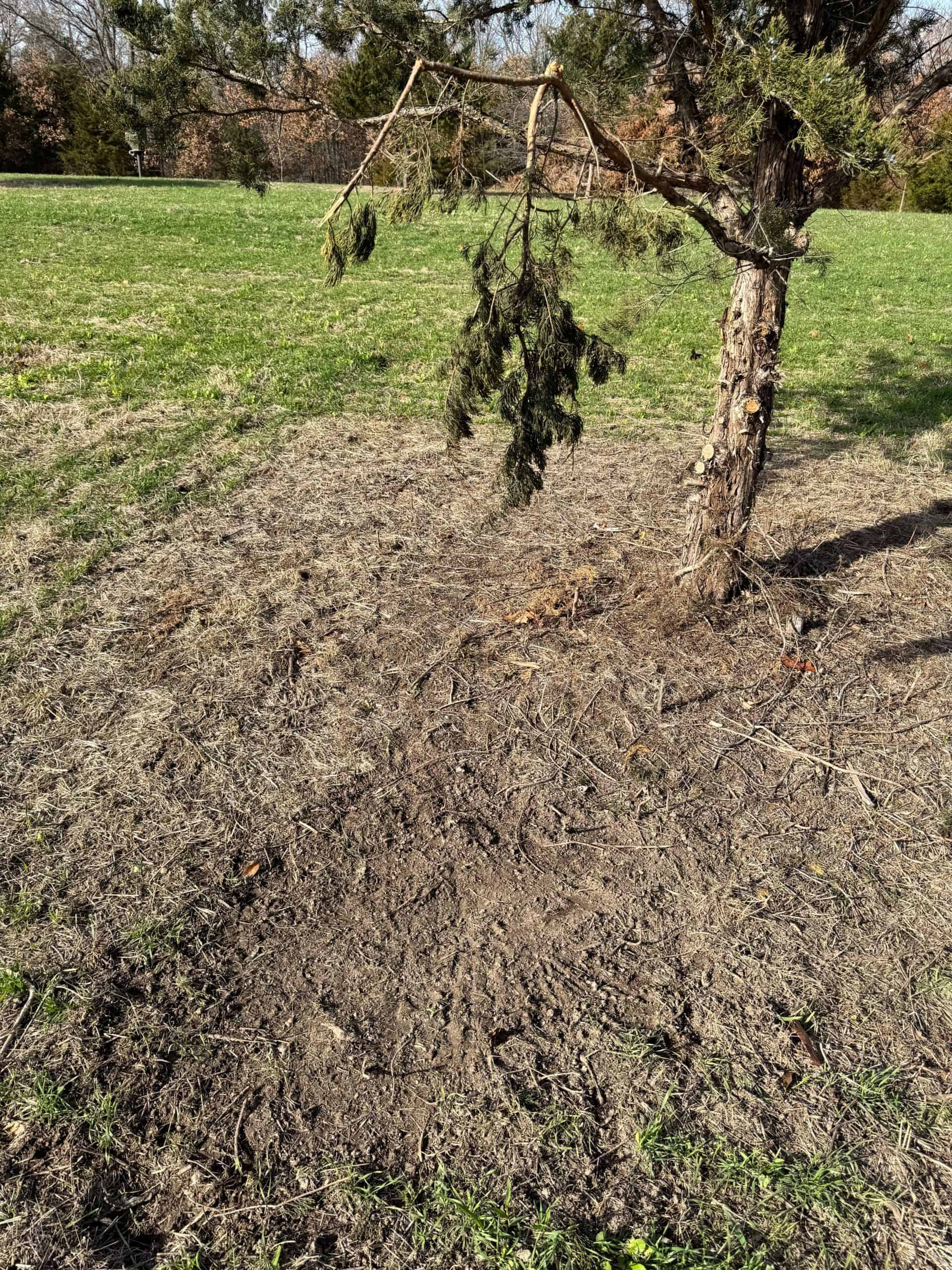 40 acres Bentonsport, IA FOR SALE!