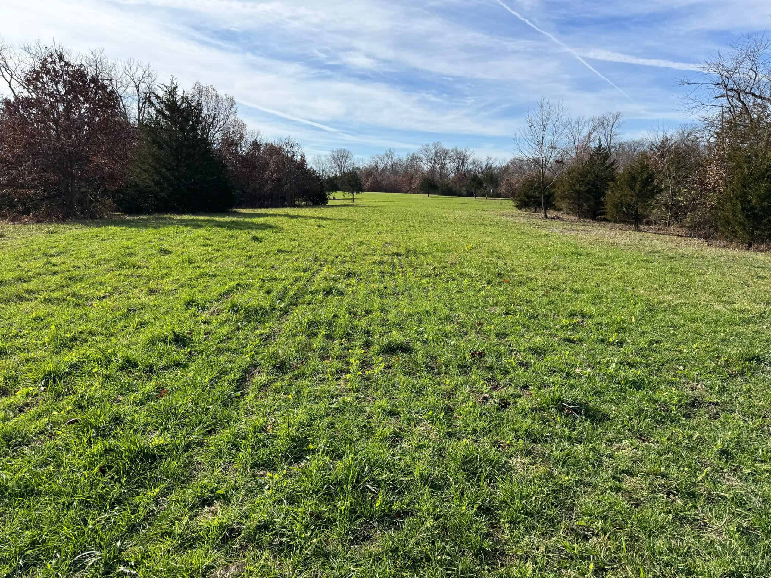 40 acres Bentonsport, IA FOR SALE!