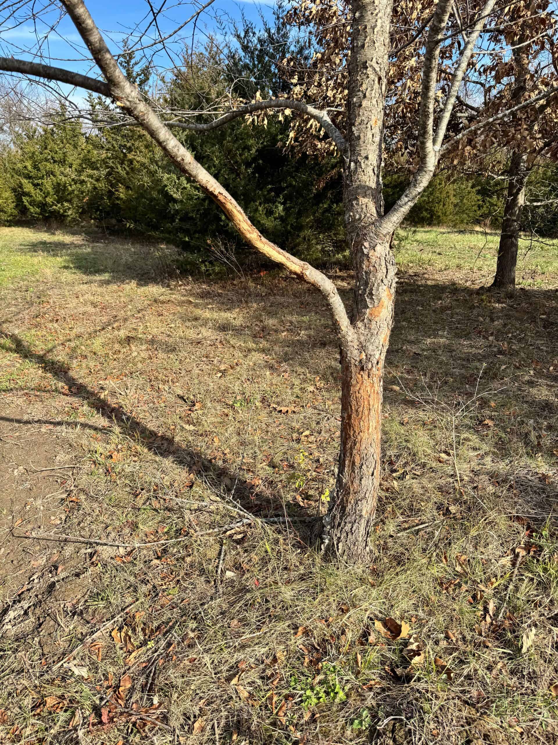 40 acres Bentonsport, IA FOR SALE!