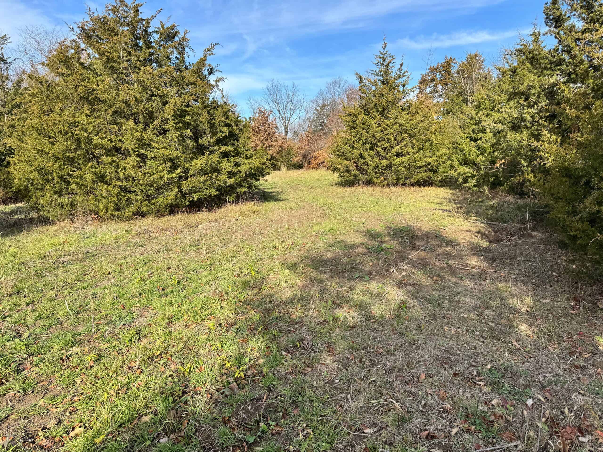 40 acres Bentonsport, IA FOR SALE!