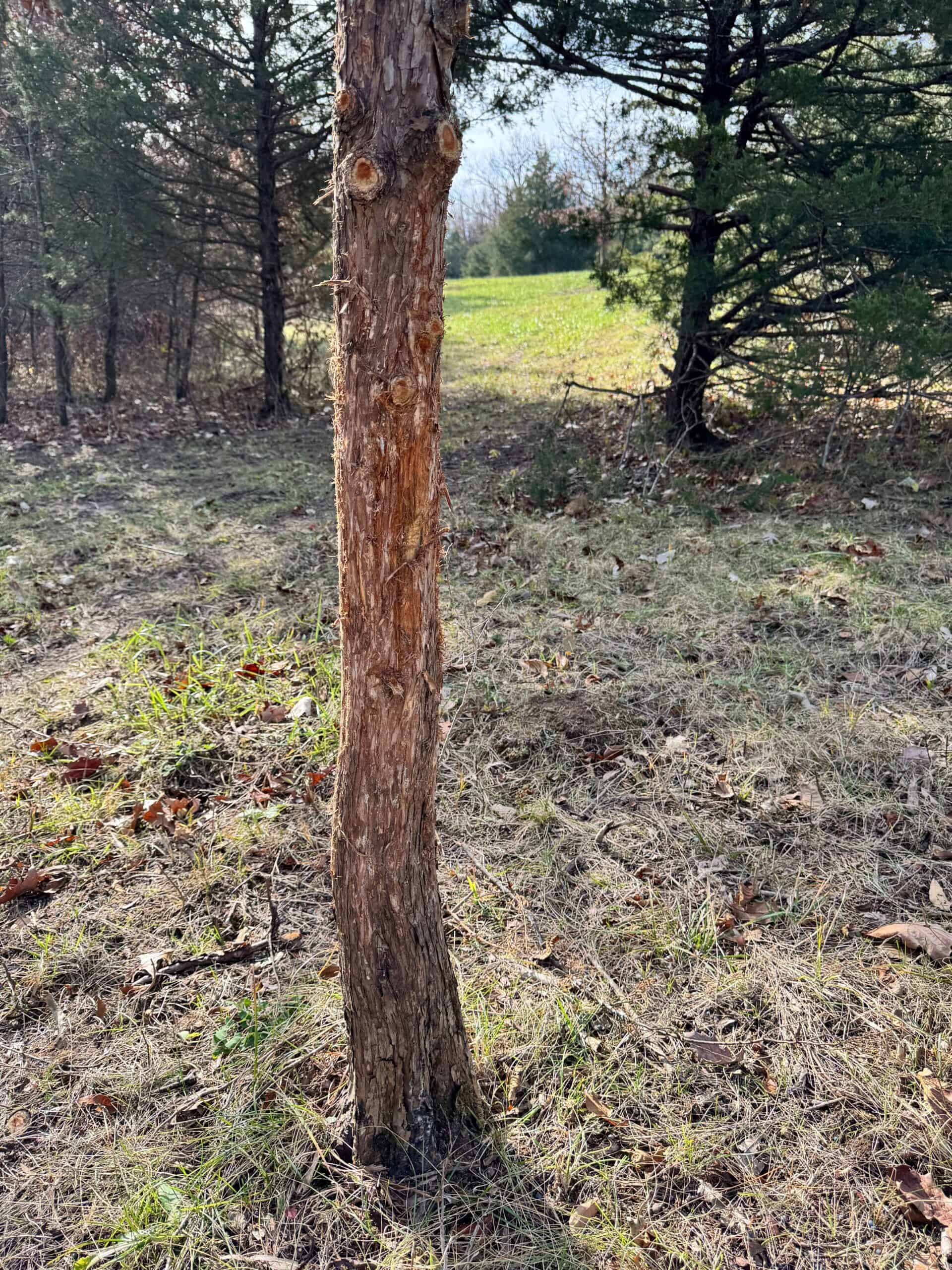 40 acres Bentonsport, IA FOR SALE!