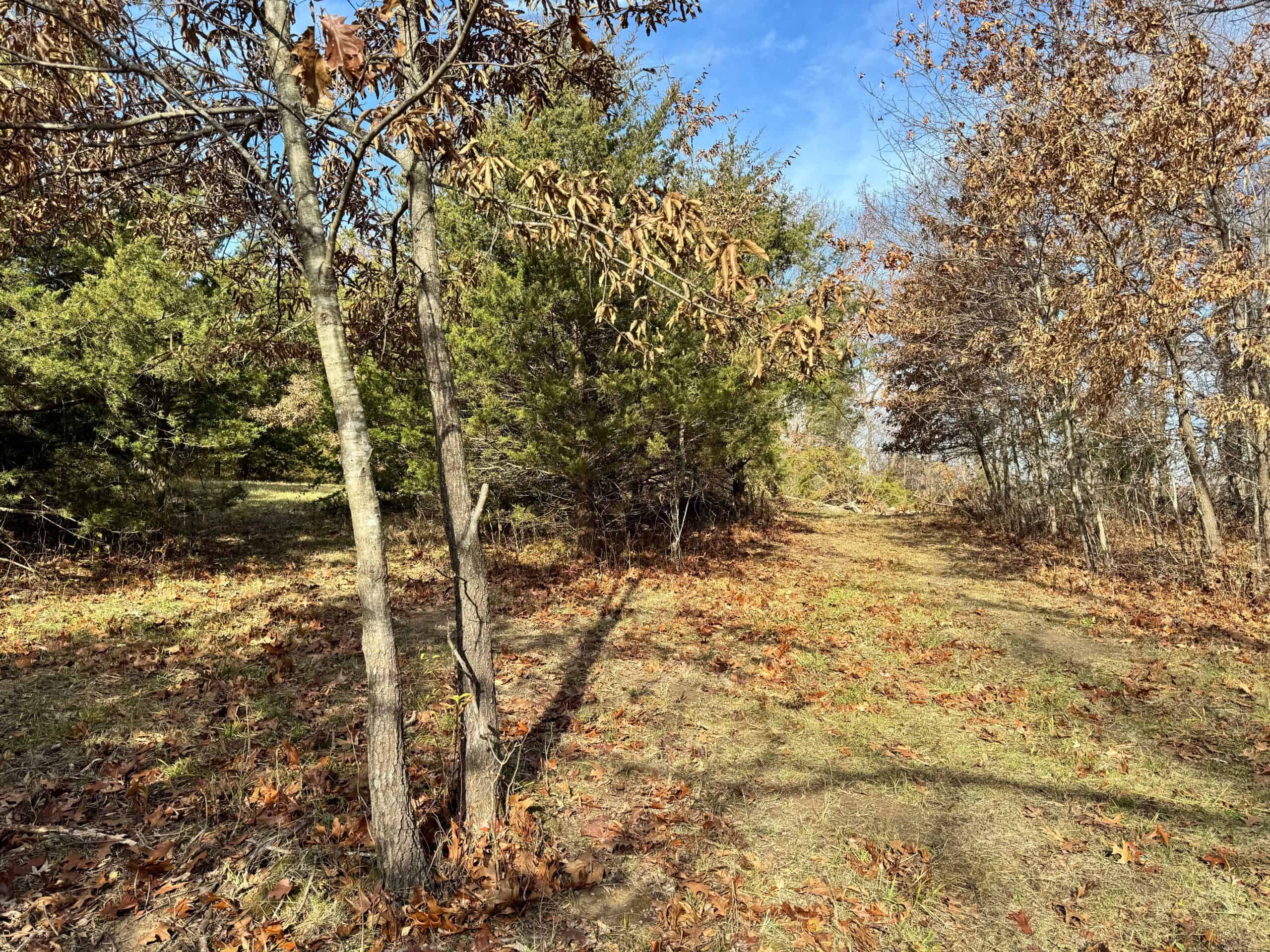 40 acres Bentonsport, IA FOR SALE!