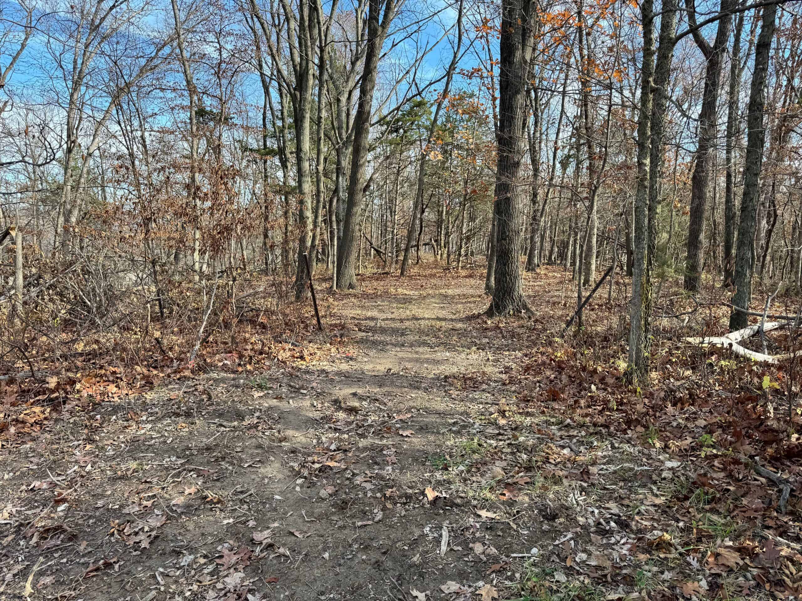 40 acres Bentonsport, IA FOR SALE!