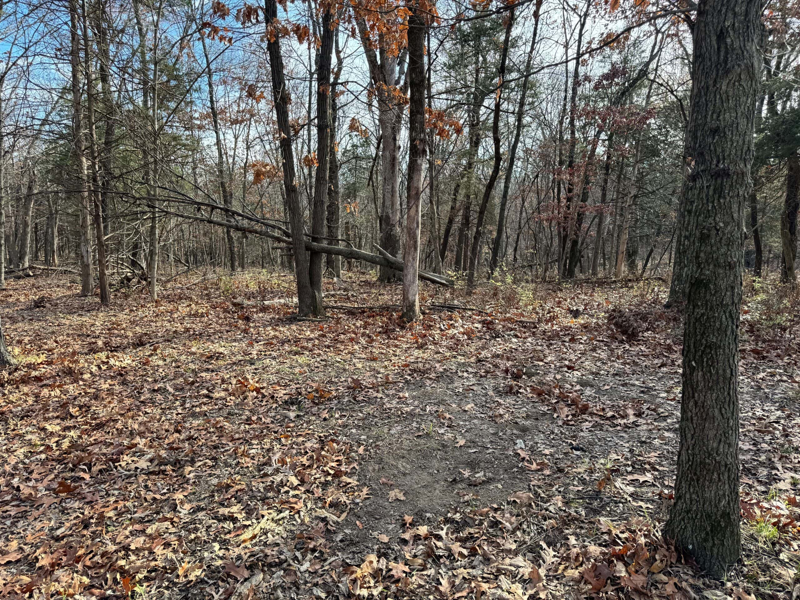 40 acres Bentonsport, IA FOR SALE!