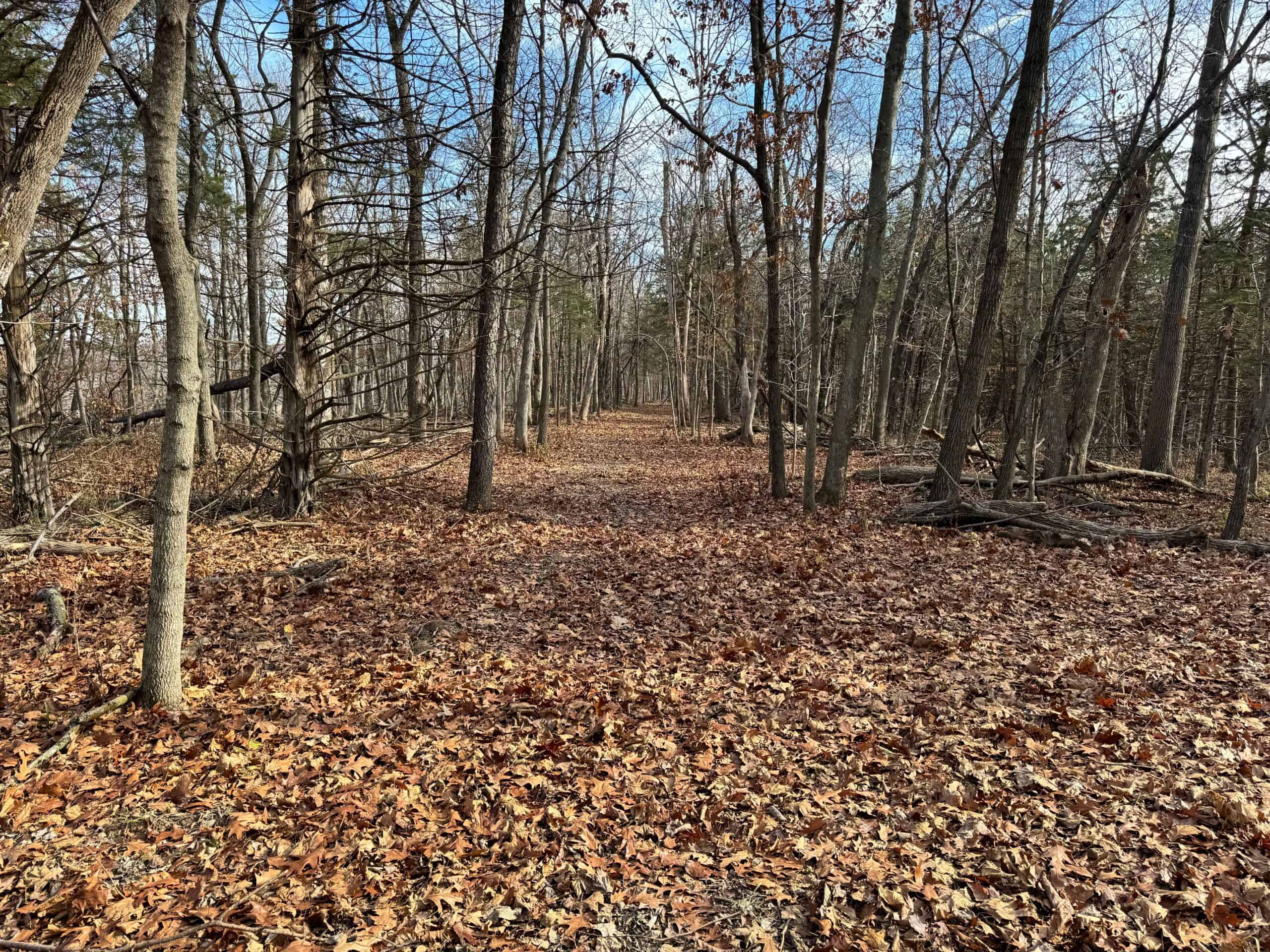 40 acres Bentonsport, IA FOR SALE!