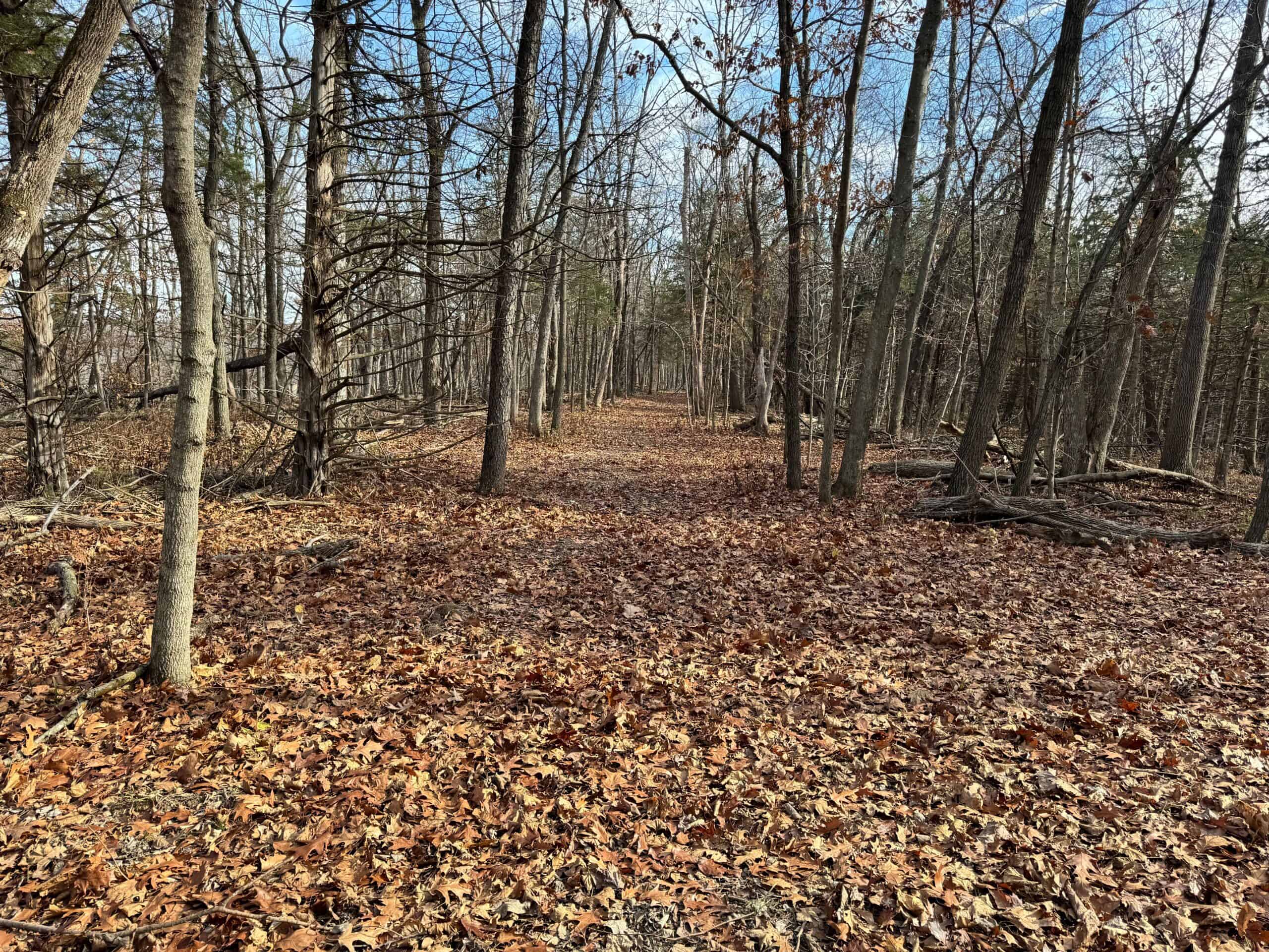 40 acres Bentonsport, IA FOR SALE!