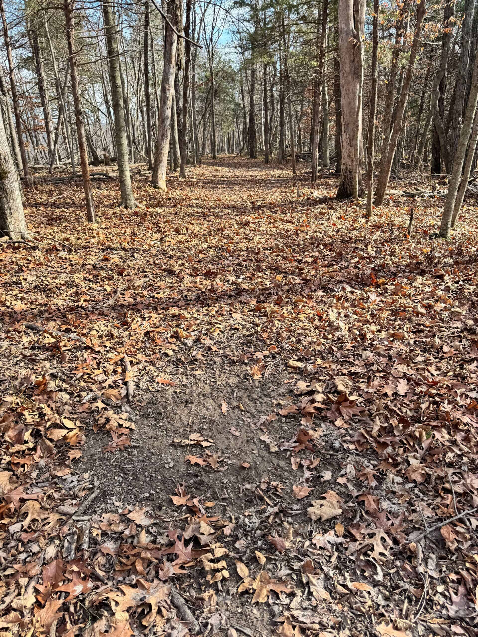 40 acres Bentonsport, IA FOR SALE!