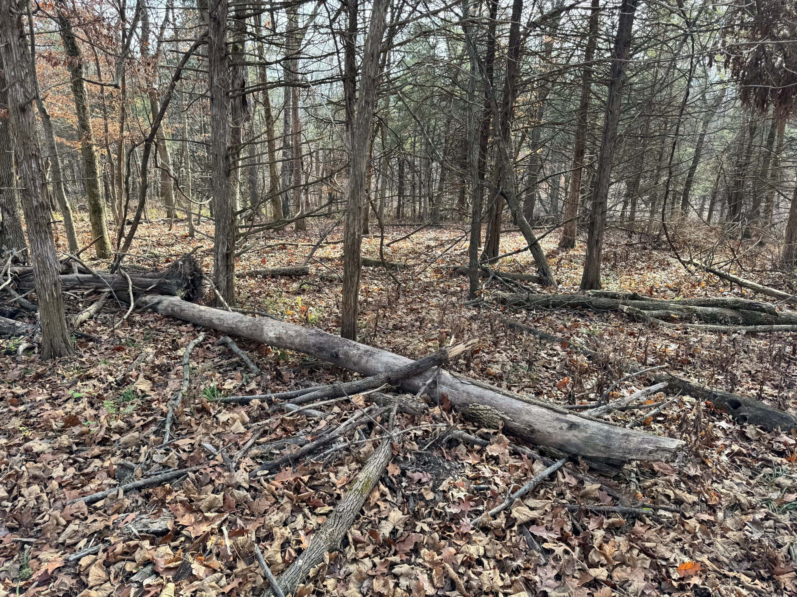 40 acres Bentonsport, IA FOR SALE!