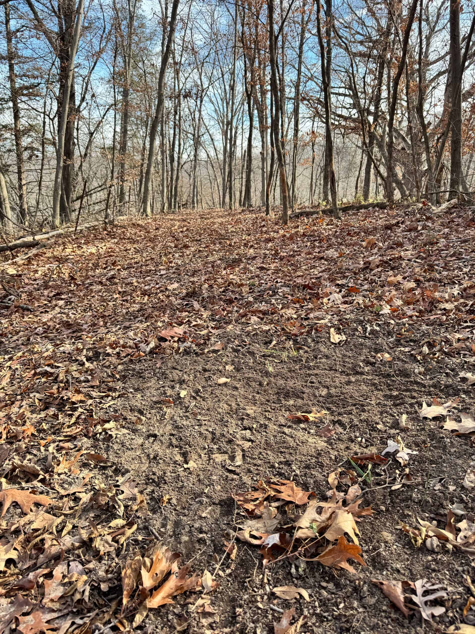 40 acres Bentonsport, IA FOR SALE!