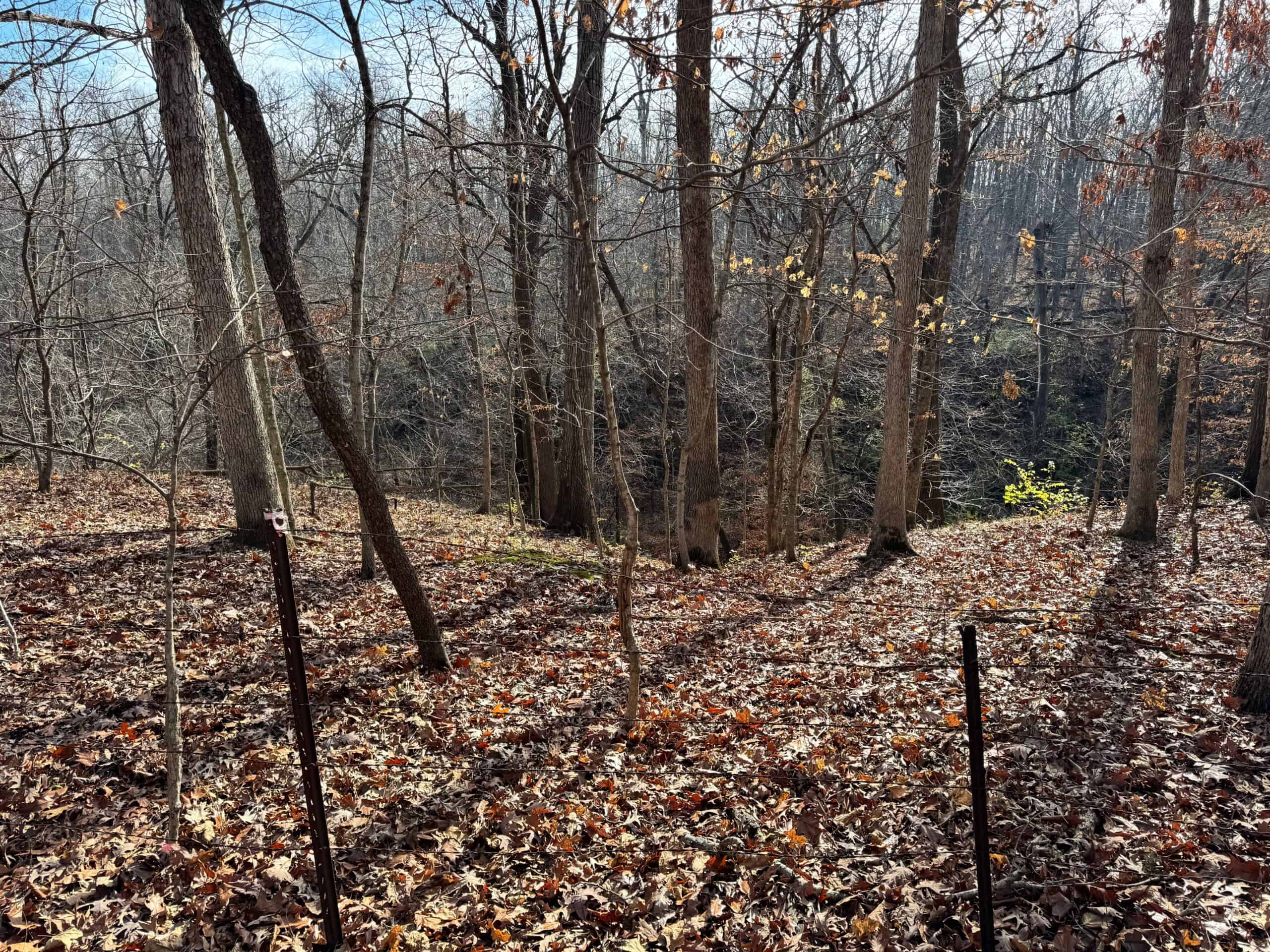 40 acres Bentonsport, IA FOR SALE!