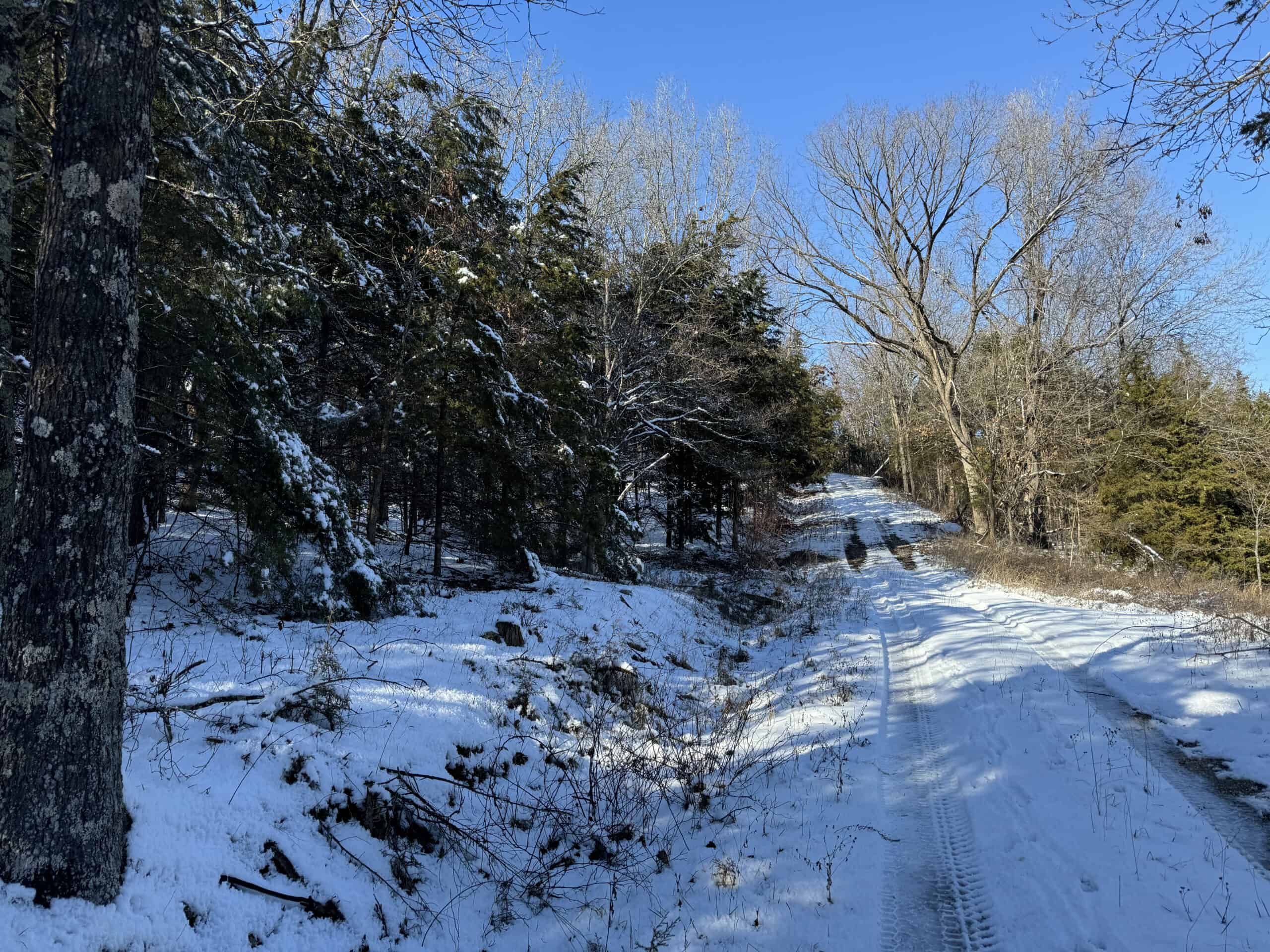Cattle Farm with Hunting Opportunities in Dixon, MO