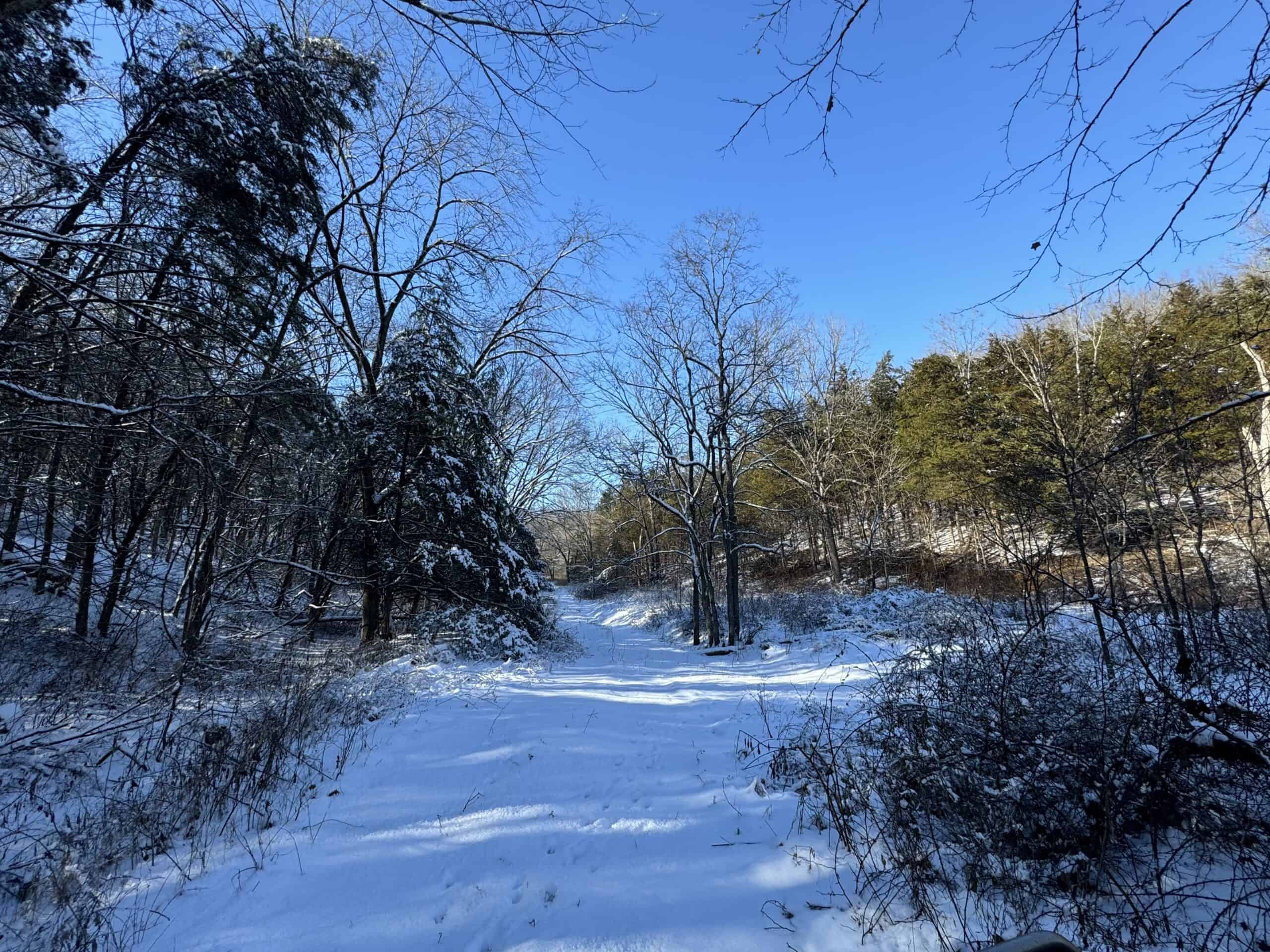 Cattle Farm with Hunting Opportunities in Dixon, MO