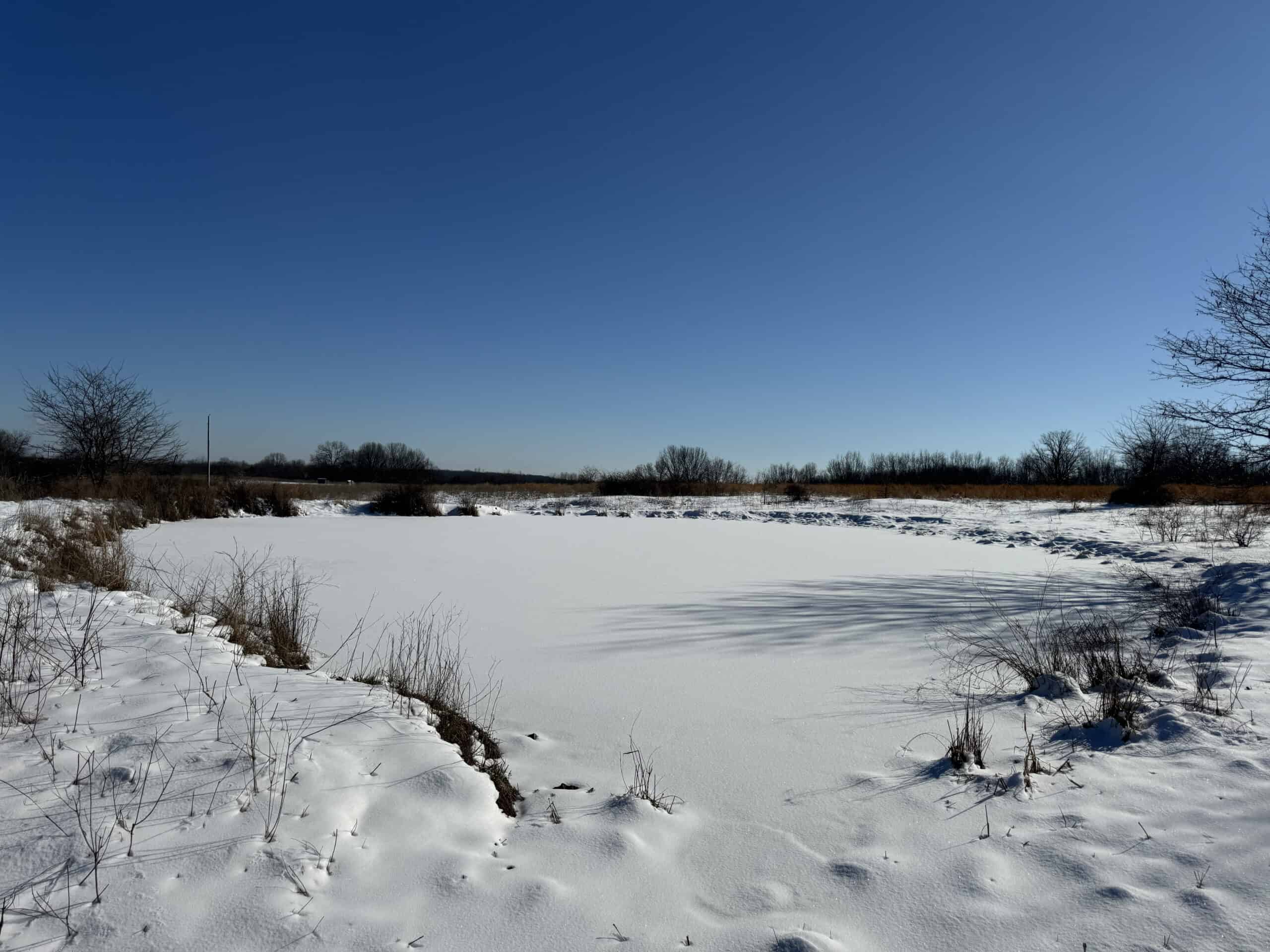 Cattle Farm with Hunting Opportunities in Dixon, MO