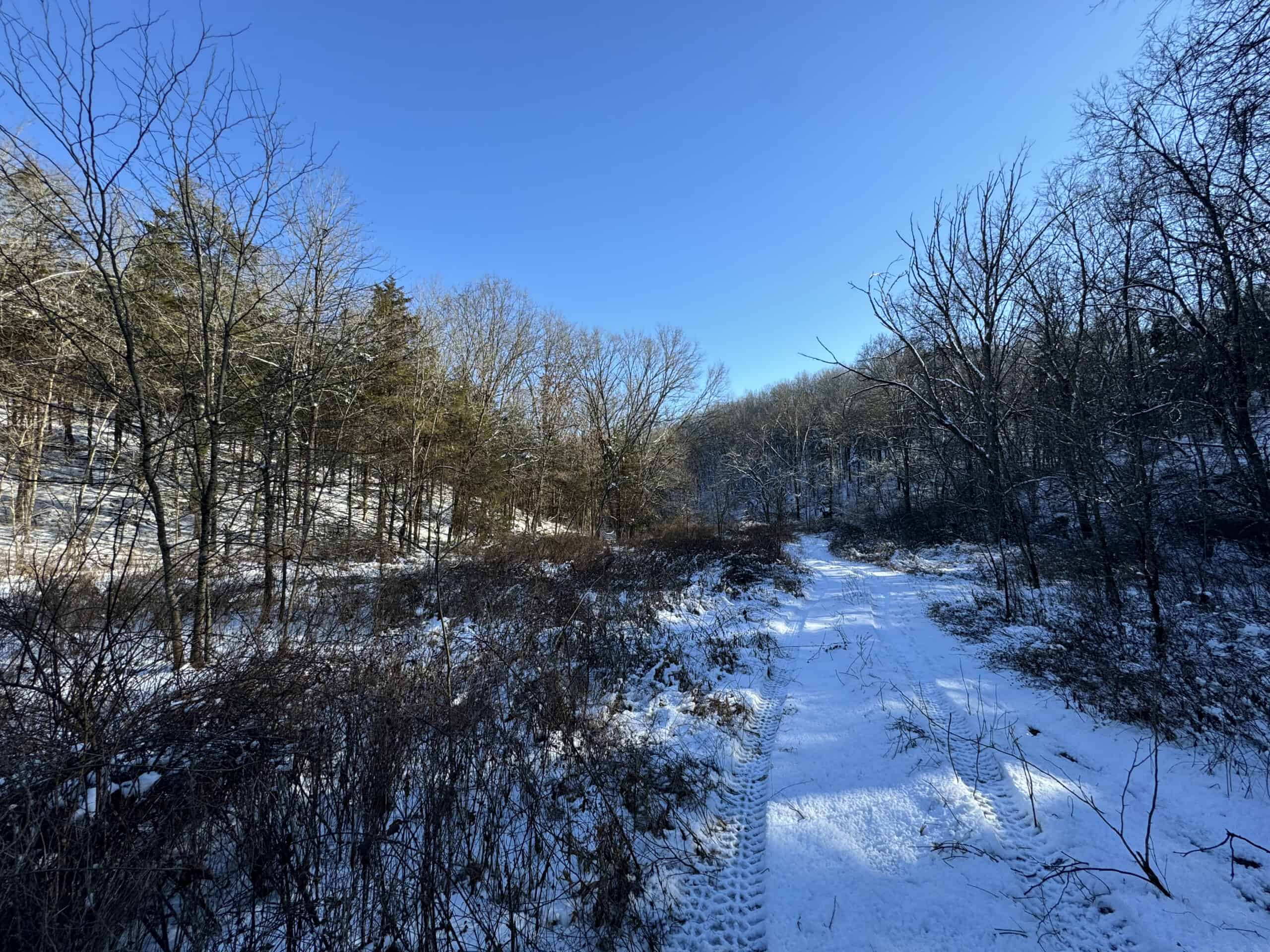 Cattle Farm with Hunting Opportunities in Dixon, MO