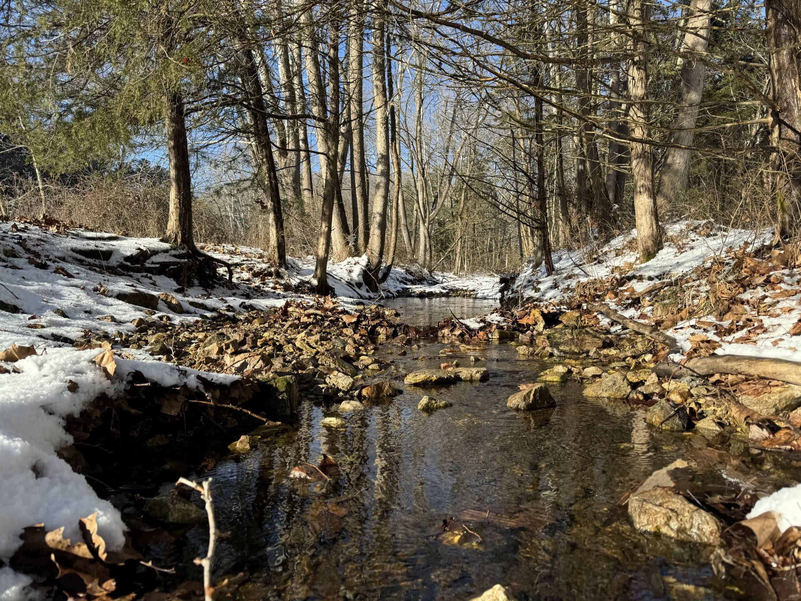 Cattle Farm with Hunting Opportunities in Dixon, MO