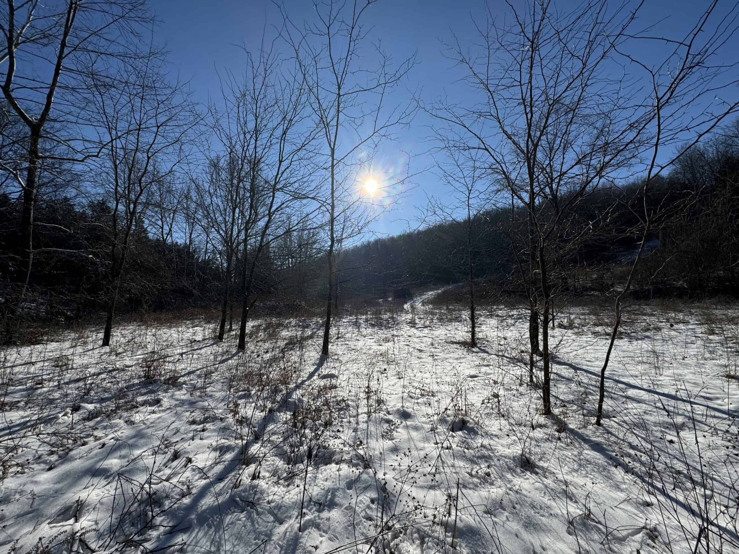 Cattle Farm with Hunting Opportunities in Dixon, MO