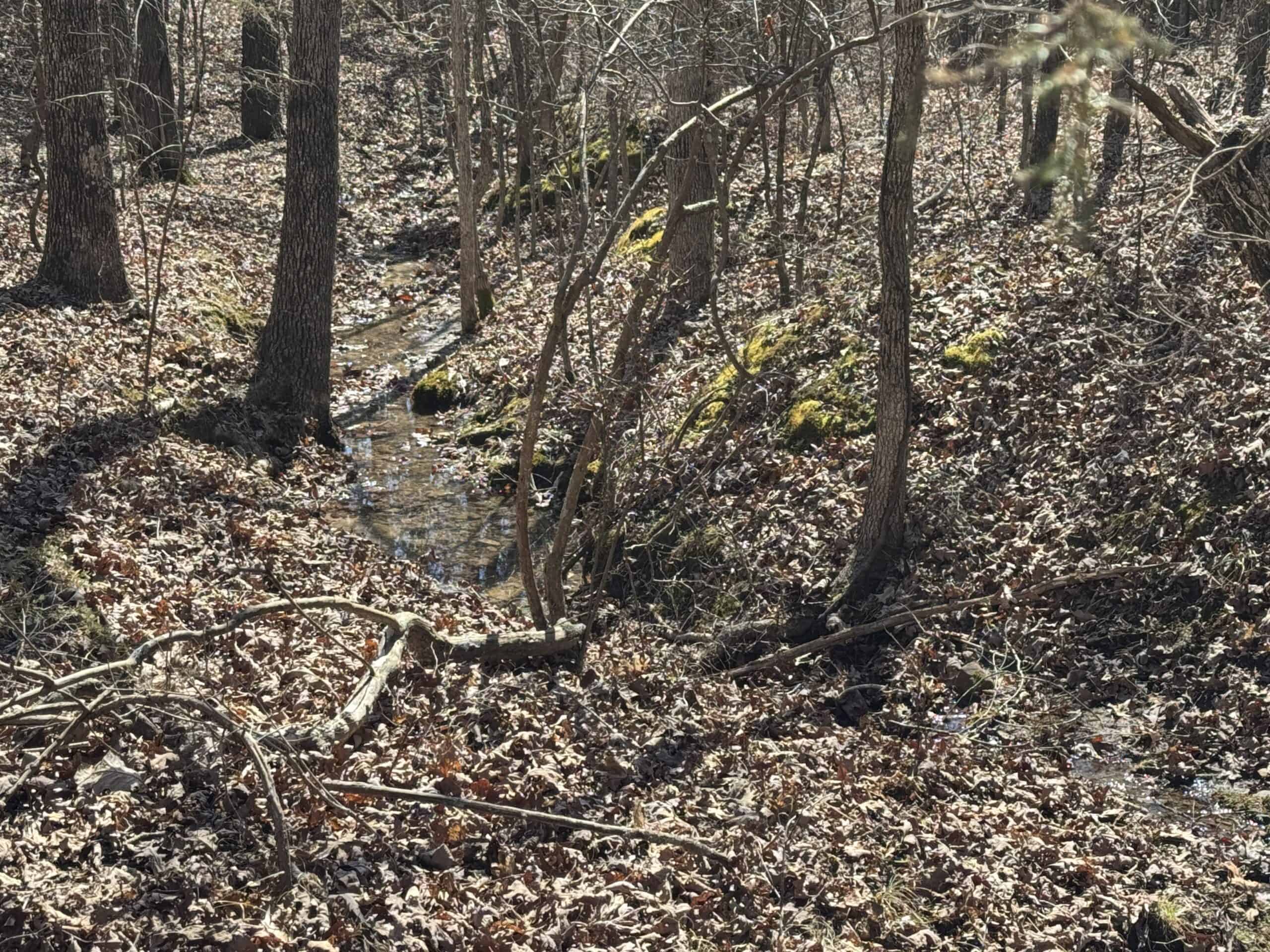 HUNTING AND RECREATIONAL LAND FOR SALE IN ARKANSAS