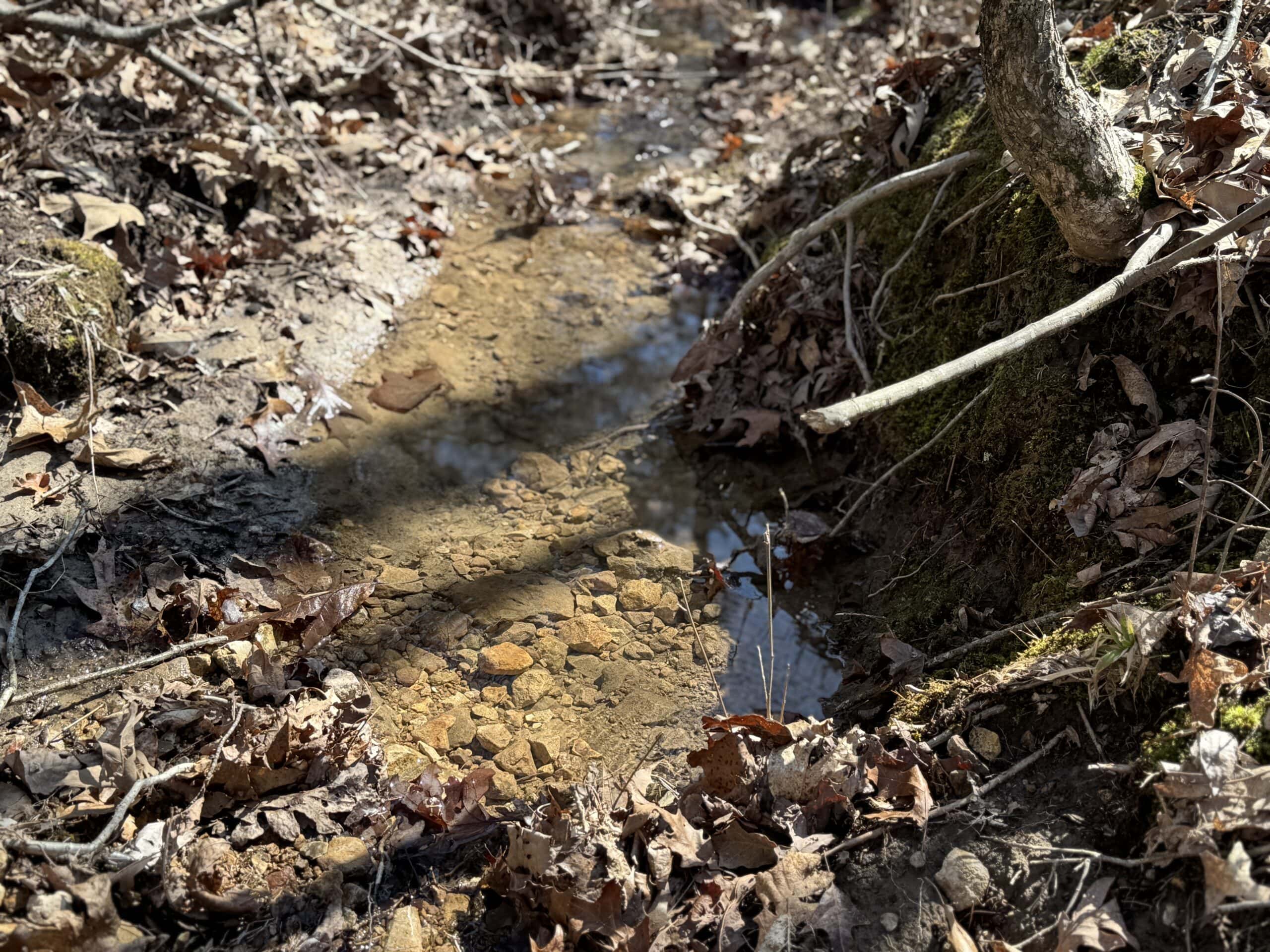 HUNTING AND RECREATIONAL LAND FOR SALE IN ARKANSAS