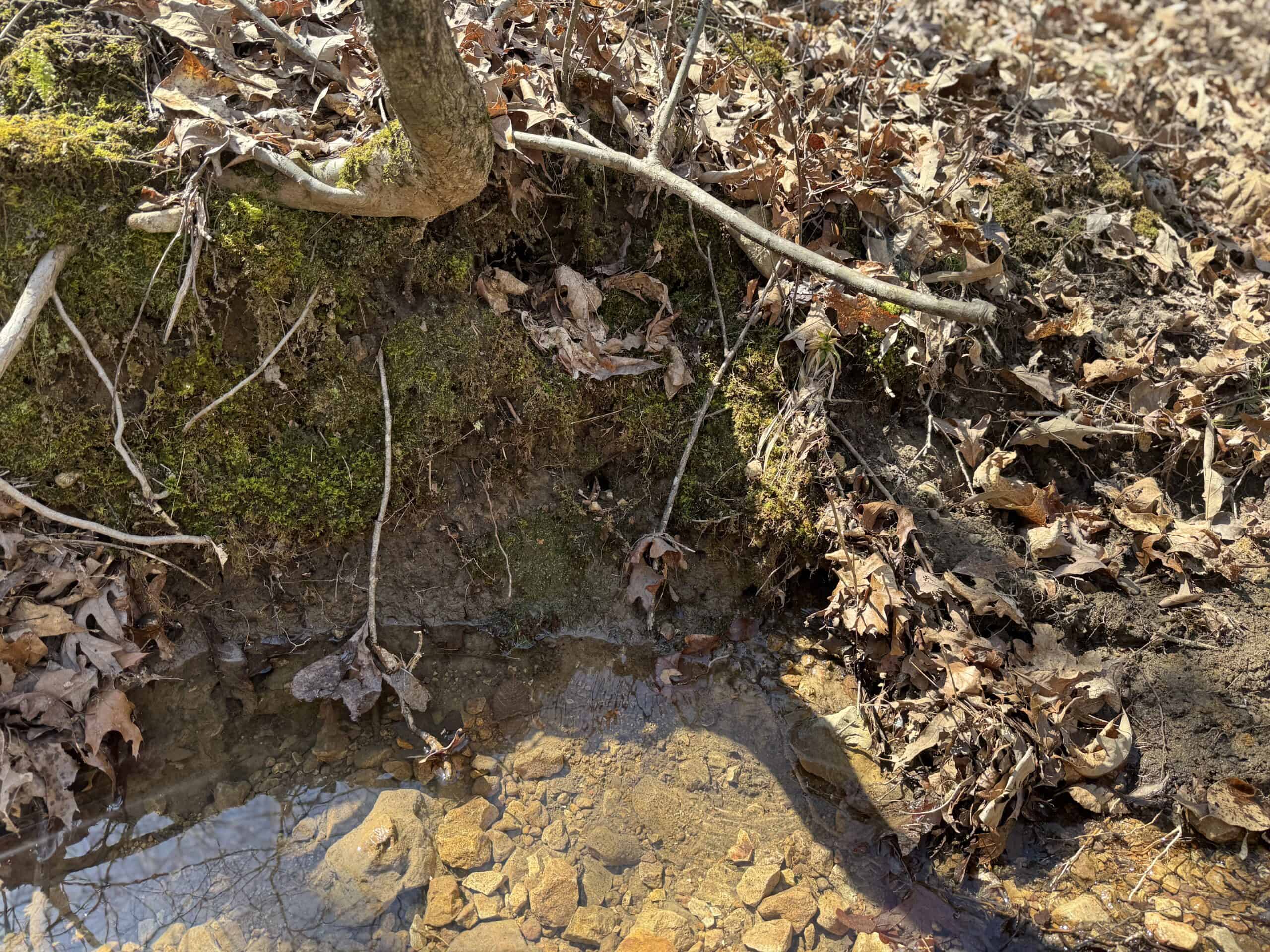 HUNTING AND RECREATIONAL LAND FOR SALE IN ARKANSAS