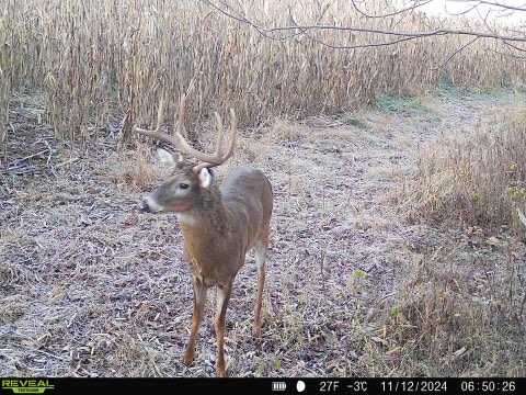52+/- Acre Property Located on Lucky Lane in Crawford County, WI