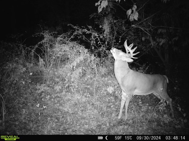 52+/- Acre Property Located on Lucky Lane in Crawford County, WI