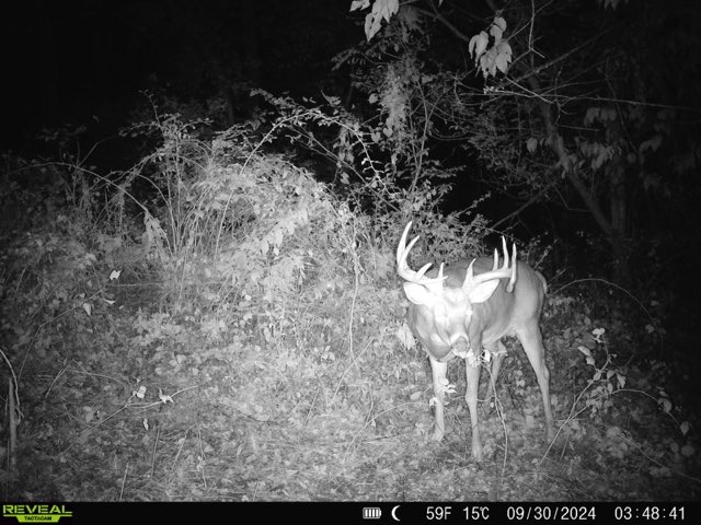 52+/- Acre Property Located on Lucky Lane in Crawford County, WI