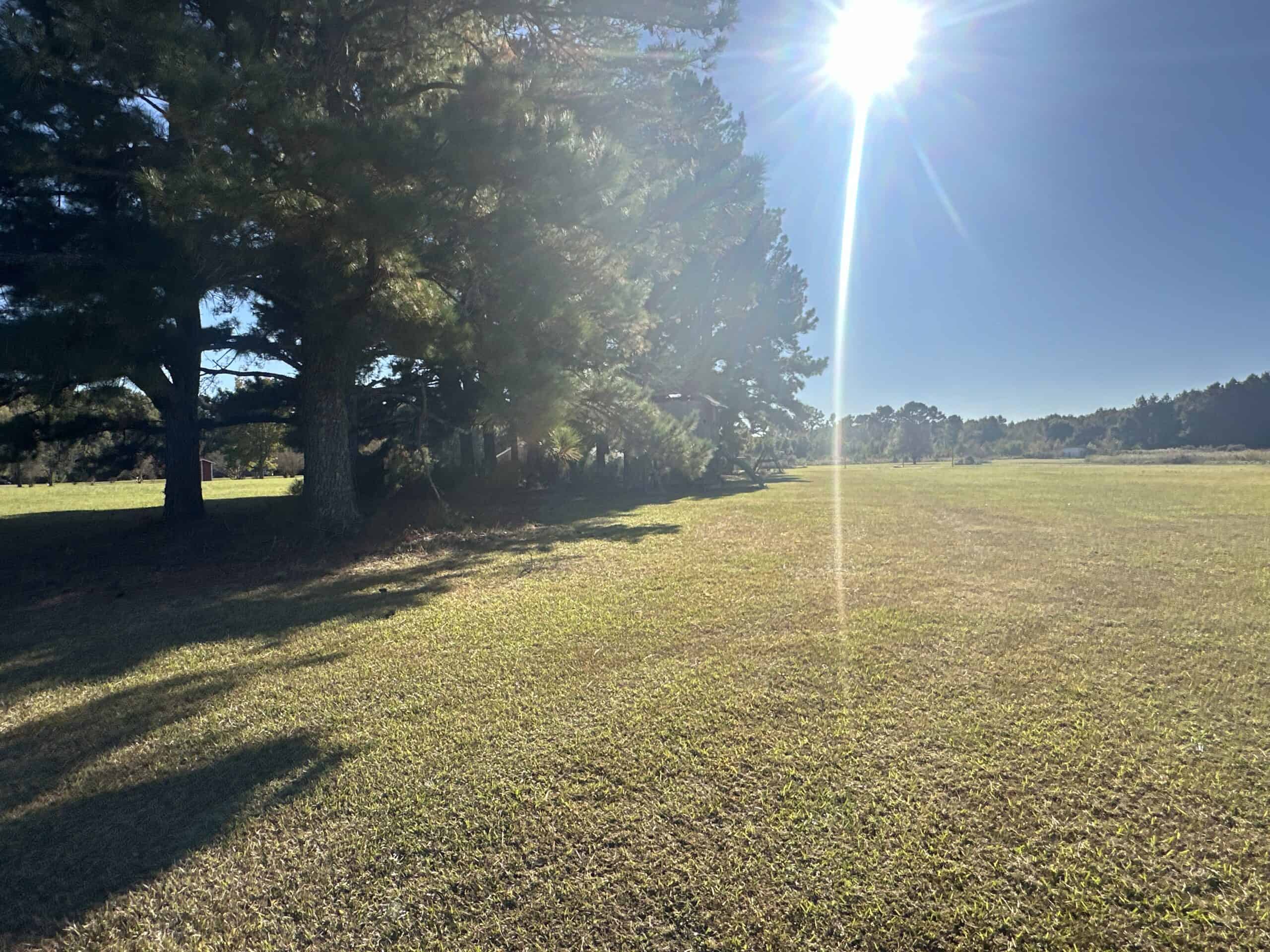 68.5-Acre Estate with Two Homes, Timberland & Barns Near US Hwy 64