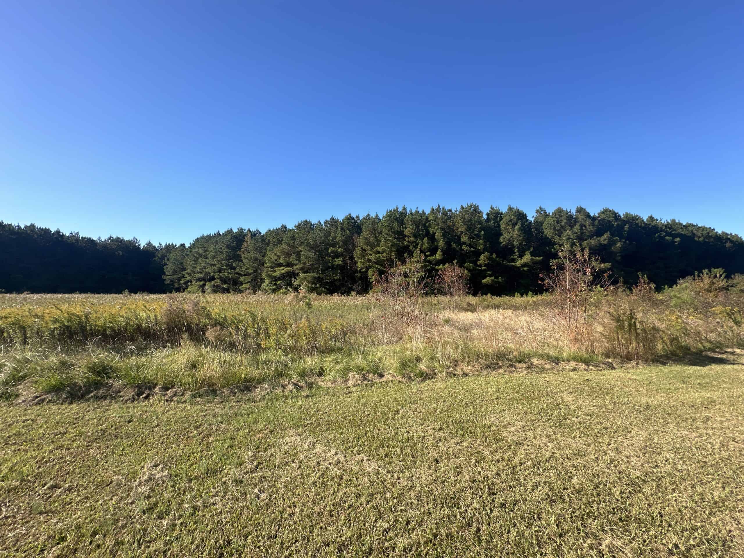 68.5-Acre Estate with Two Homes, Timberland & Barns Near US Hwy 64