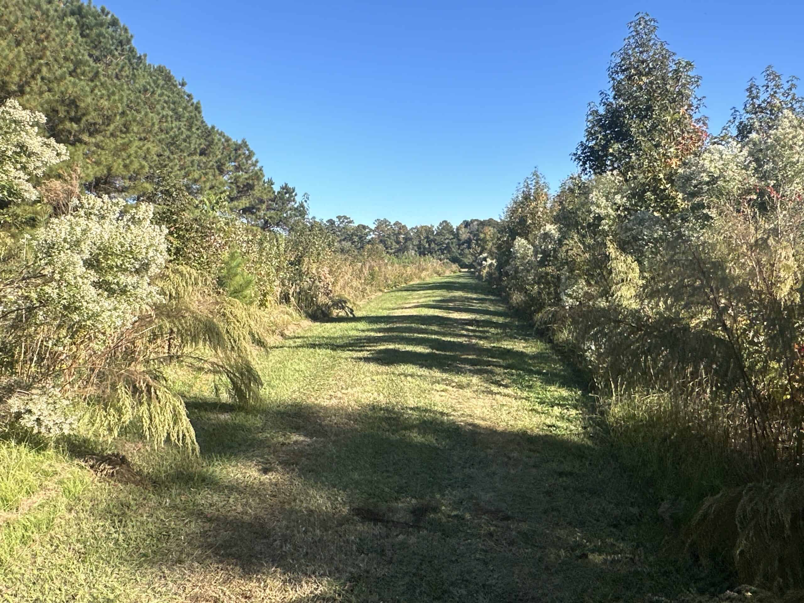 68.5-Acre Estate with Two Homes, Timberland & Barns Near US Hwy 64