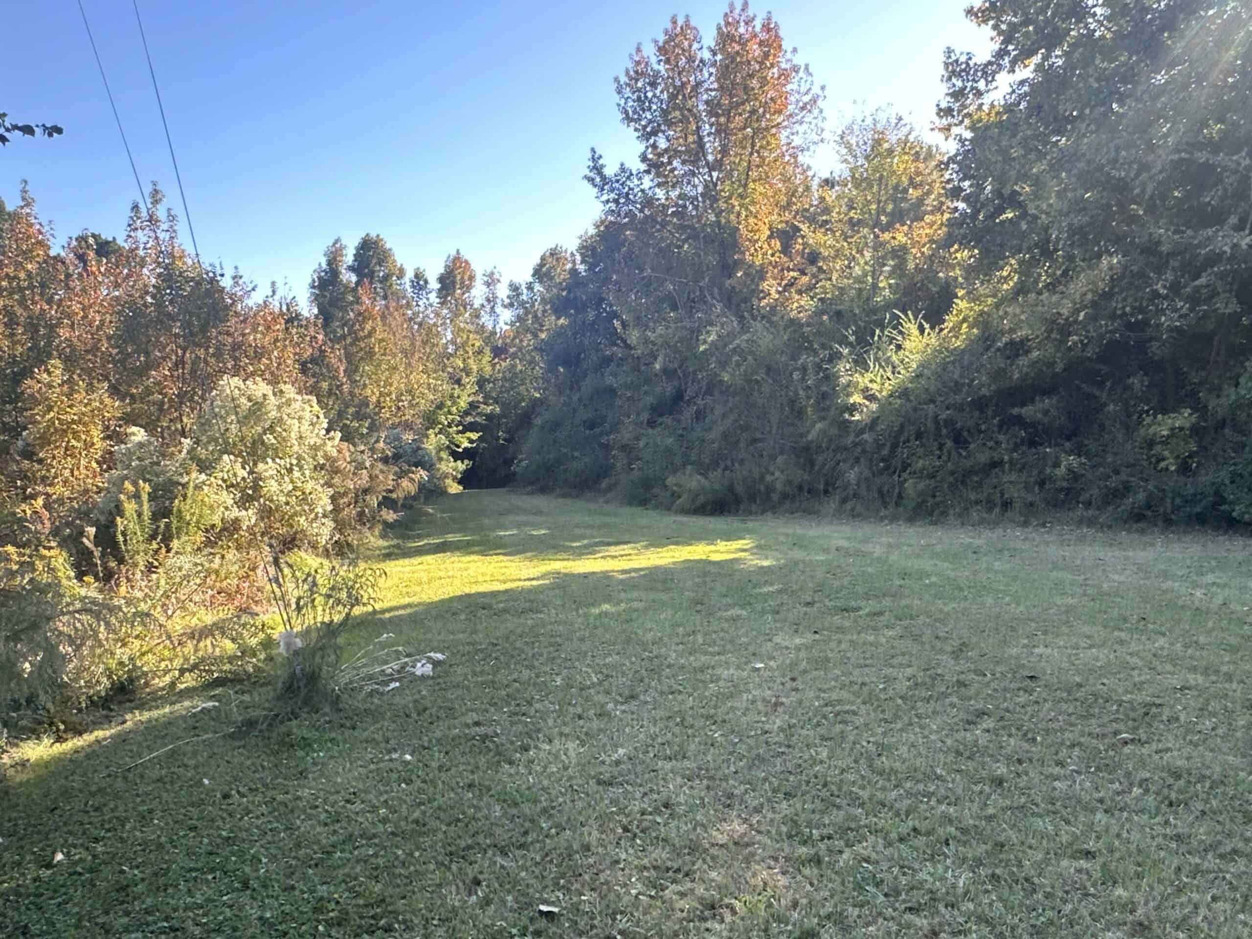 68.5-Acre Estate with Two Homes, Timberland & Barns Near US Hwy 64
