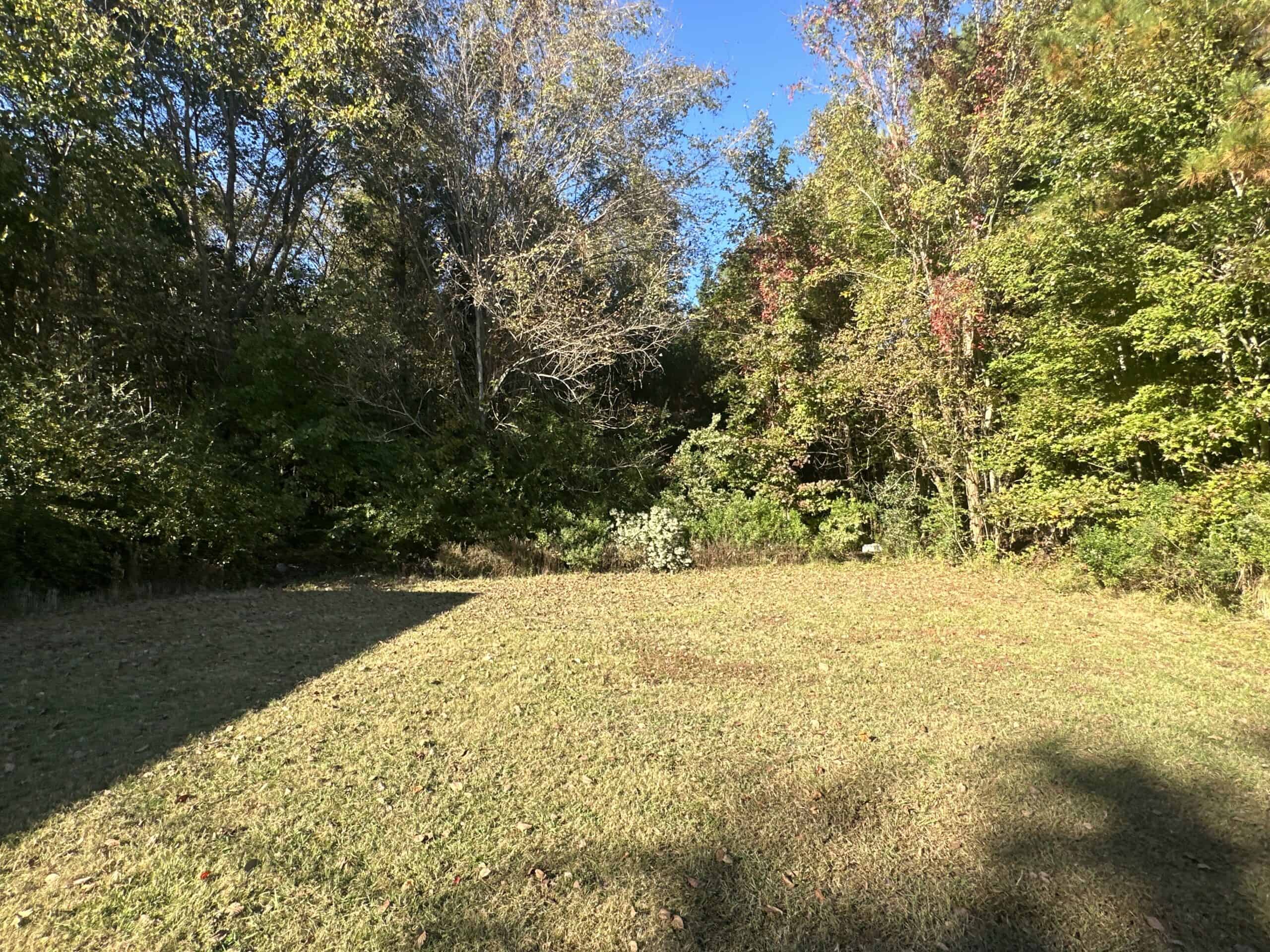 68.5-Acre Estate with Two Homes, Timberland & Barns Near US Hwy 64