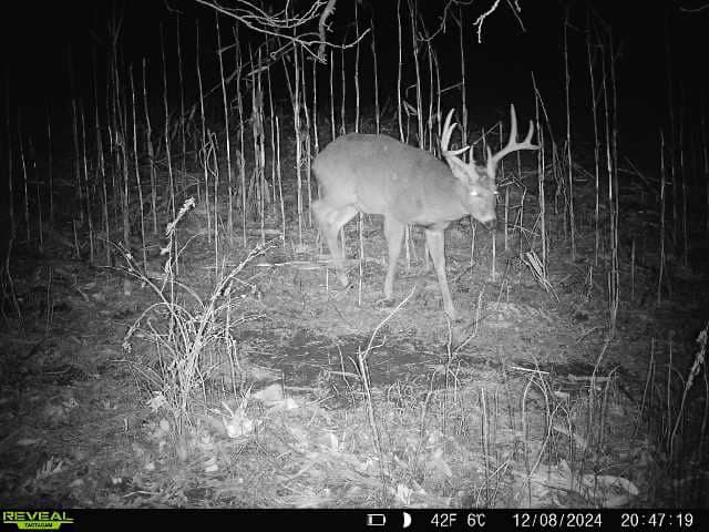 52+/- Acre Property Located on Lucky Lane in Crawford County, WI