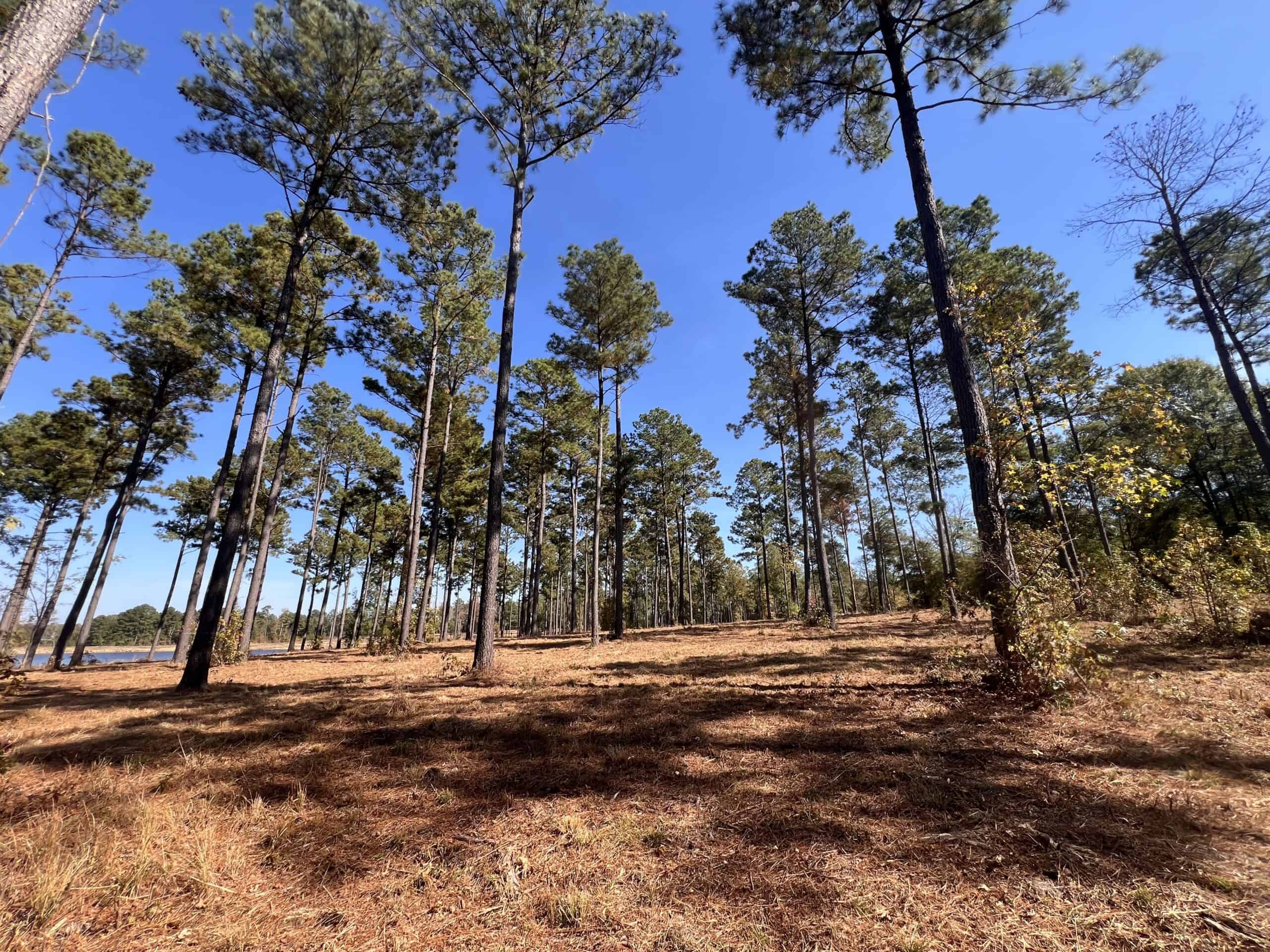 Texas Ranch For Sale With Private Lake In Cass County