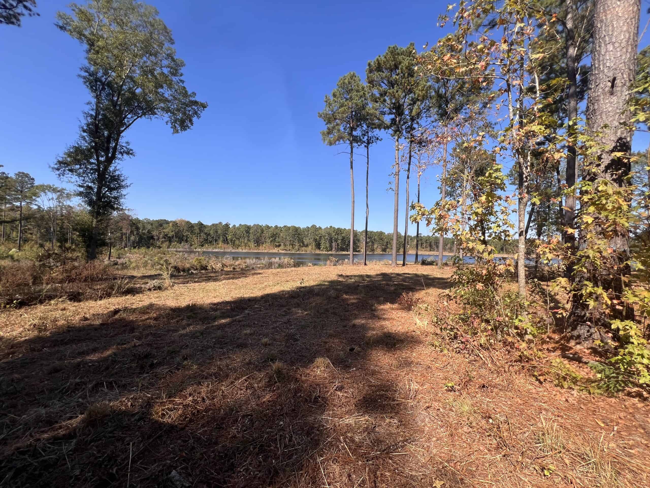 Texas Ranch For Sale With Private Lake In Cass County
