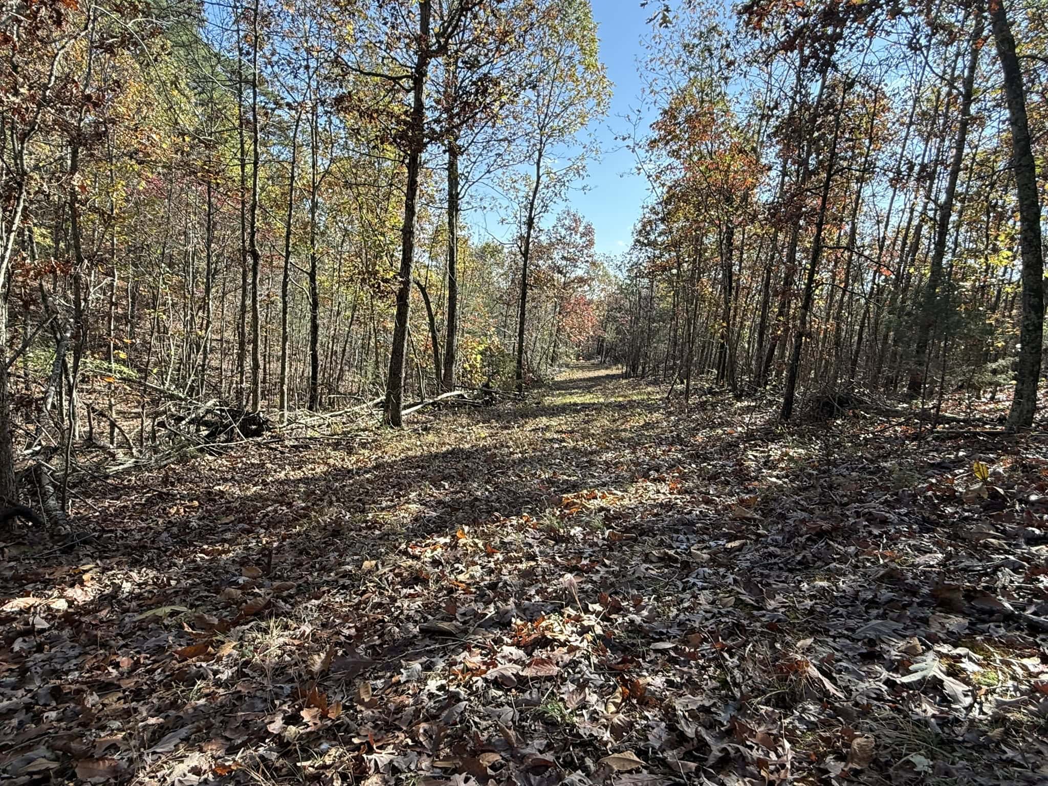 HUNTING AND RECREATIONAL LAND FOR SALE IN ARKANSAS