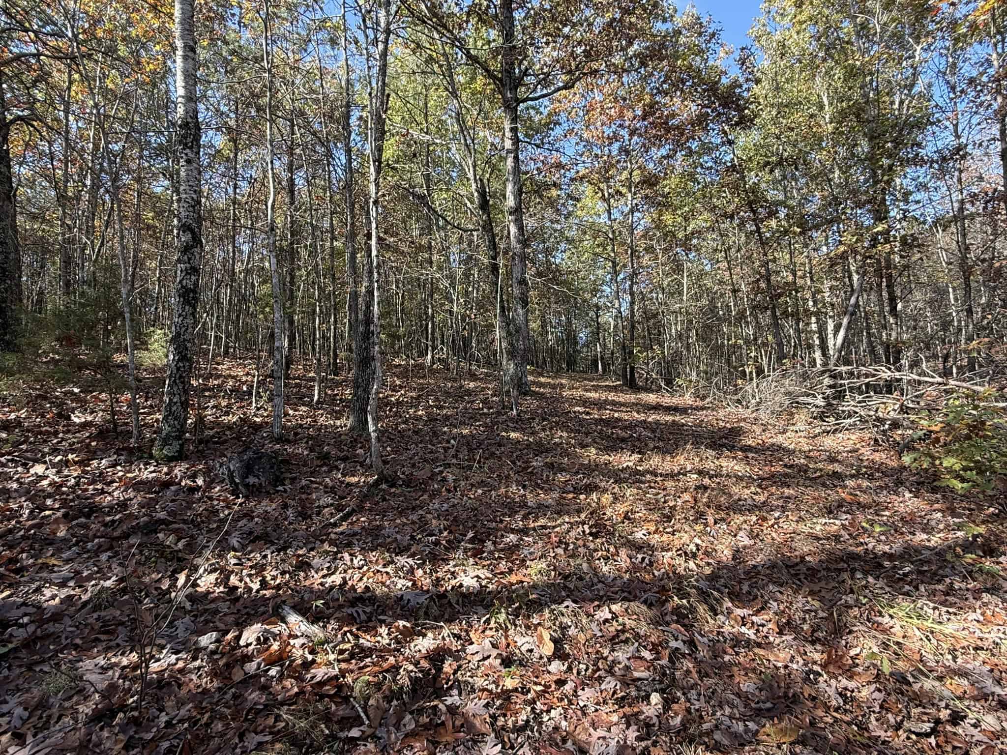 HUNTING AND RECREATIONAL LAND FOR SALE IN ARKANSAS