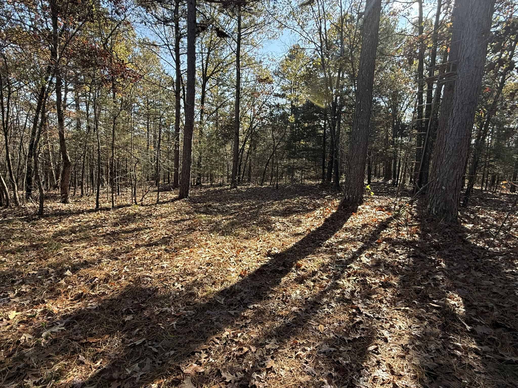 HUNTING AND RECREATIONAL LAND FOR SALE IN ARKANSAS