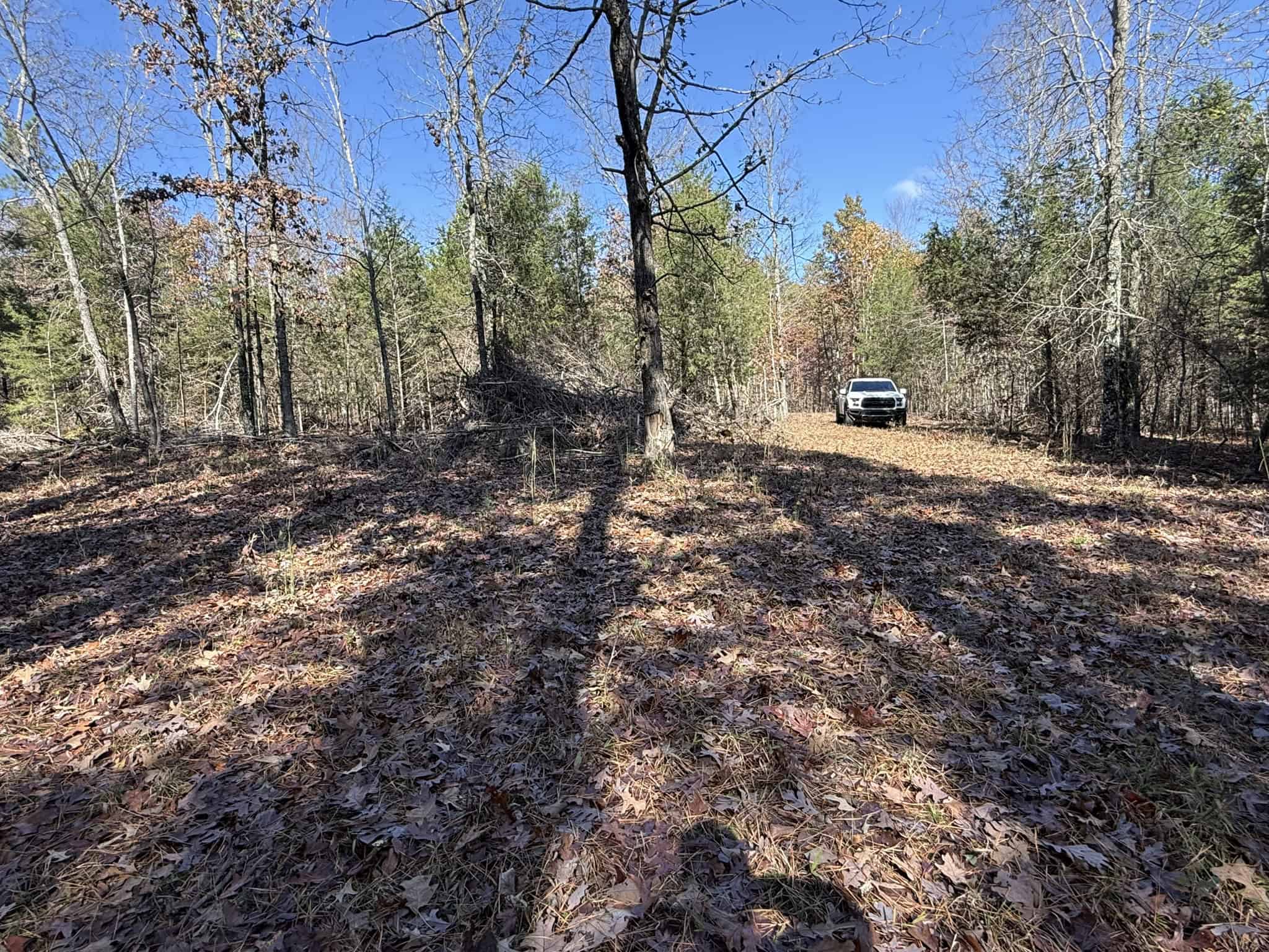 HUNTING AND RECREATIONAL LAND FOR SALE IN ARKANSAS