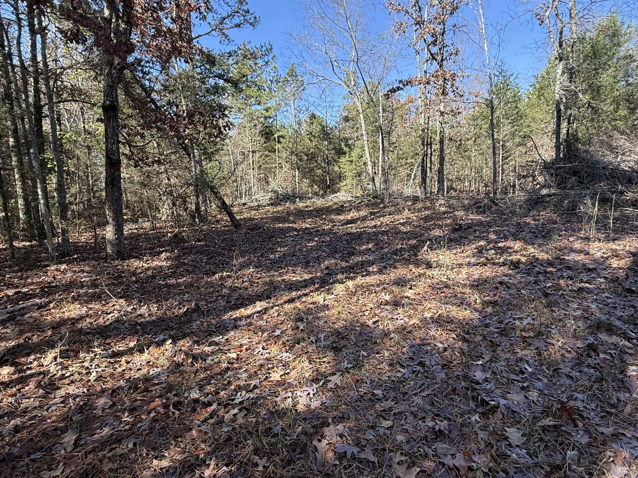 HUNTING AND RECREATIONAL LAND FOR SALE IN ARKANSAS