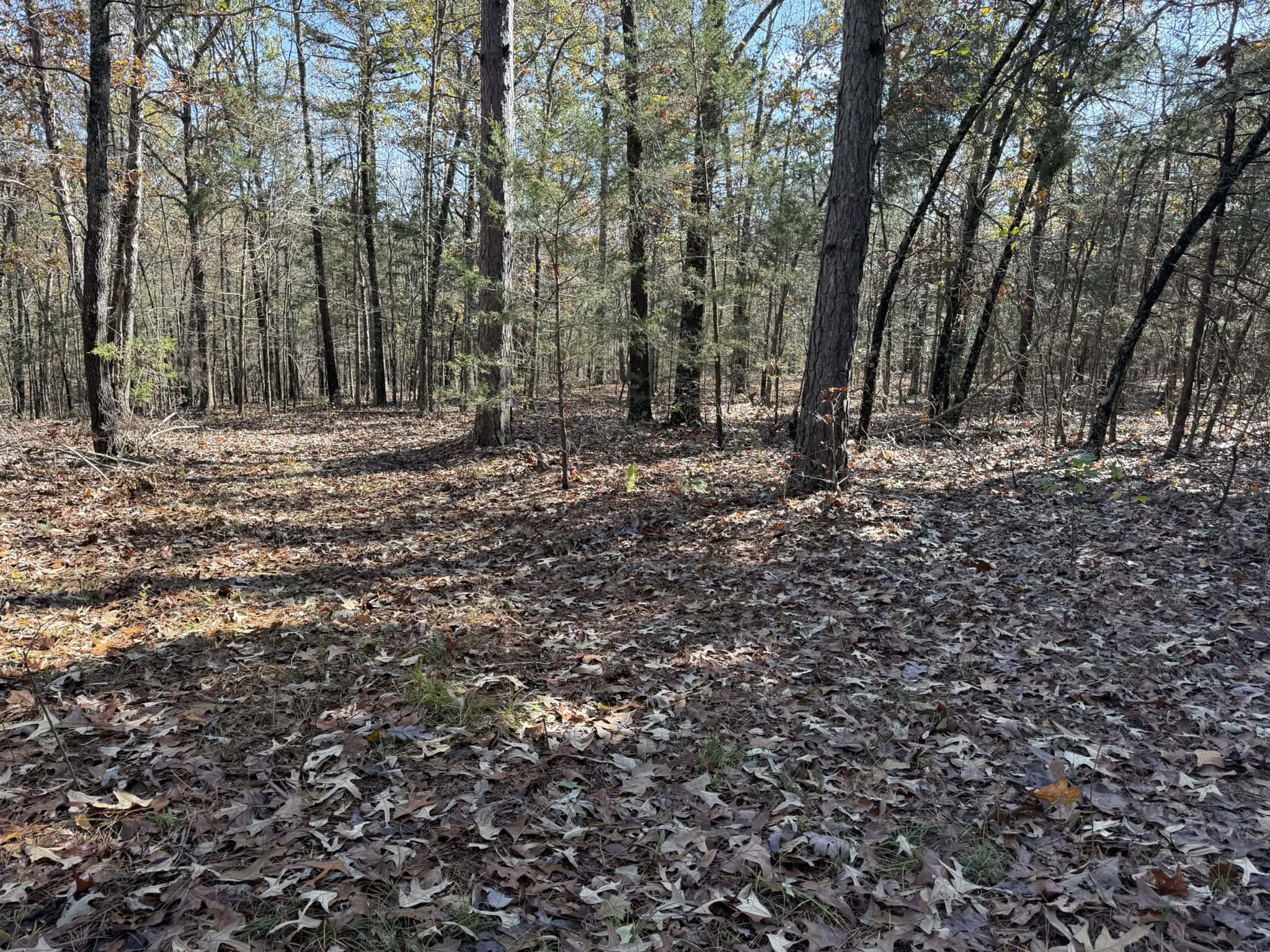 HUNTING AND RECREATIONAL LAND FOR SALE IN ARKANSAS