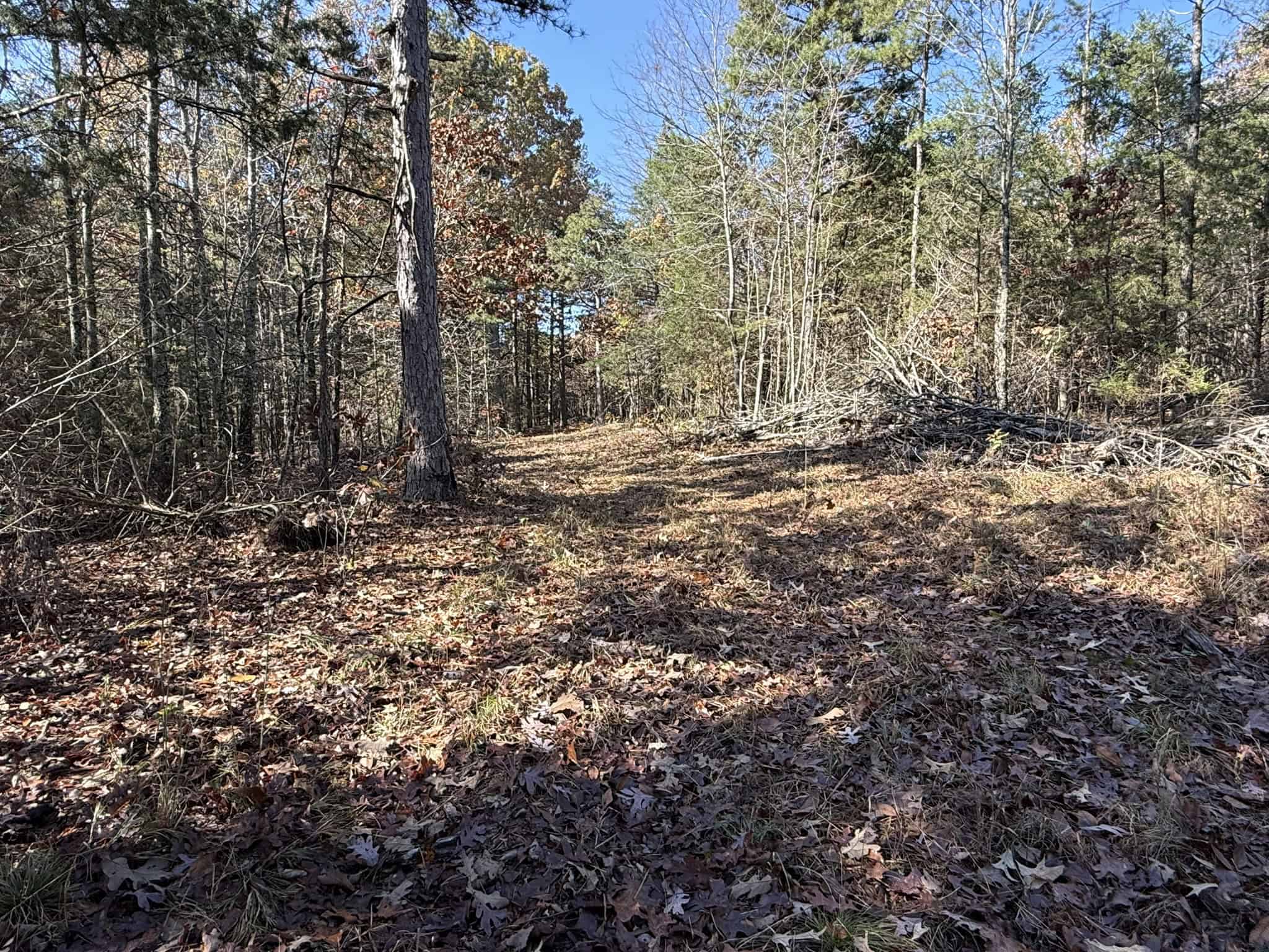HUNTING AND RECREATIONAL LAND FOR SALE IN ARKANSAS