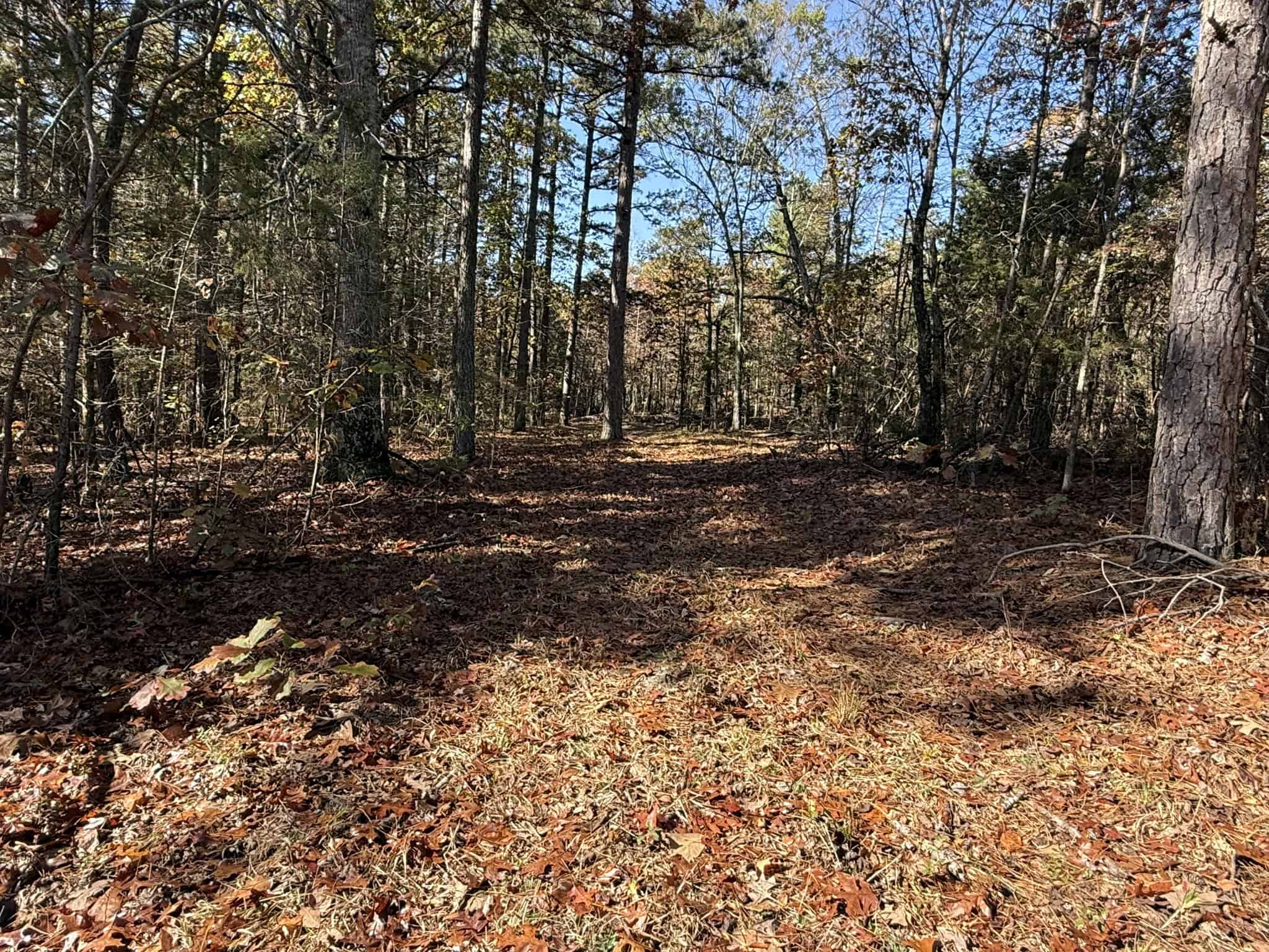 HUNTING AND RECREATIONAL LAND FOR SALE IN ARKANSAS