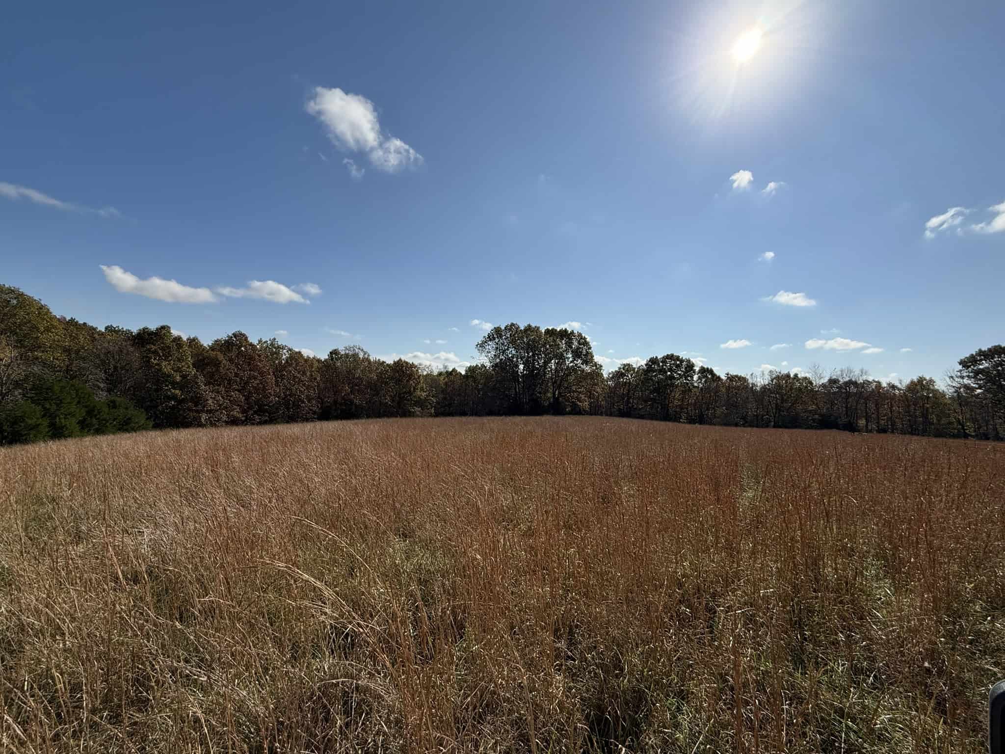 HUNTING AND RECREATIONAL LAND FOR SALE IN ARKANSAS